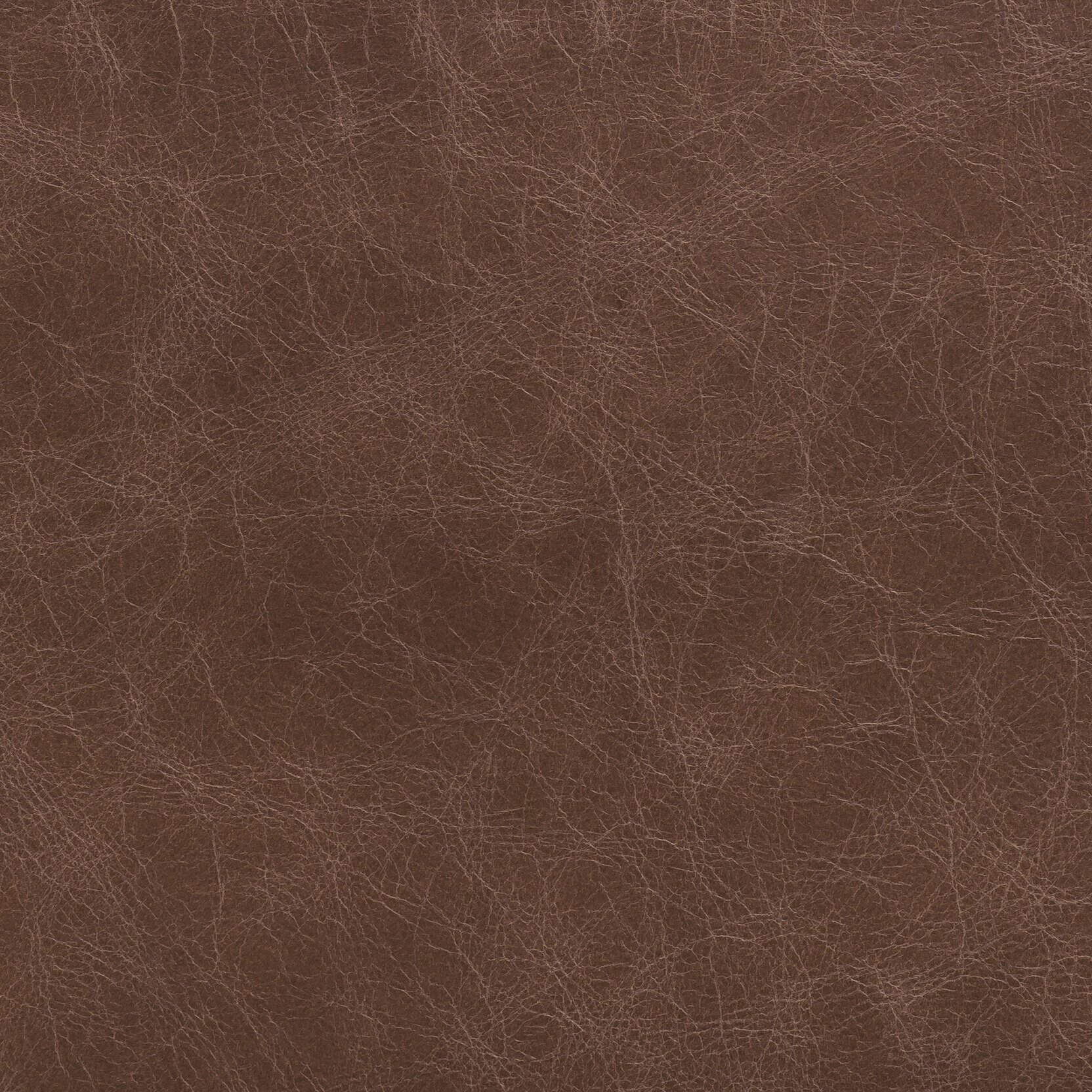 Zisu+Samples_September+2020-5657_2.3_v2.jpg