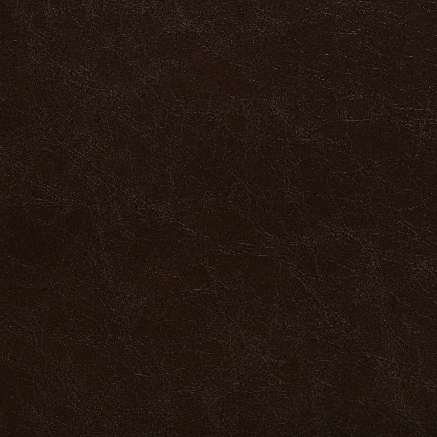Zisu+Samples_September+2020-5657_2.1_v2.jpg