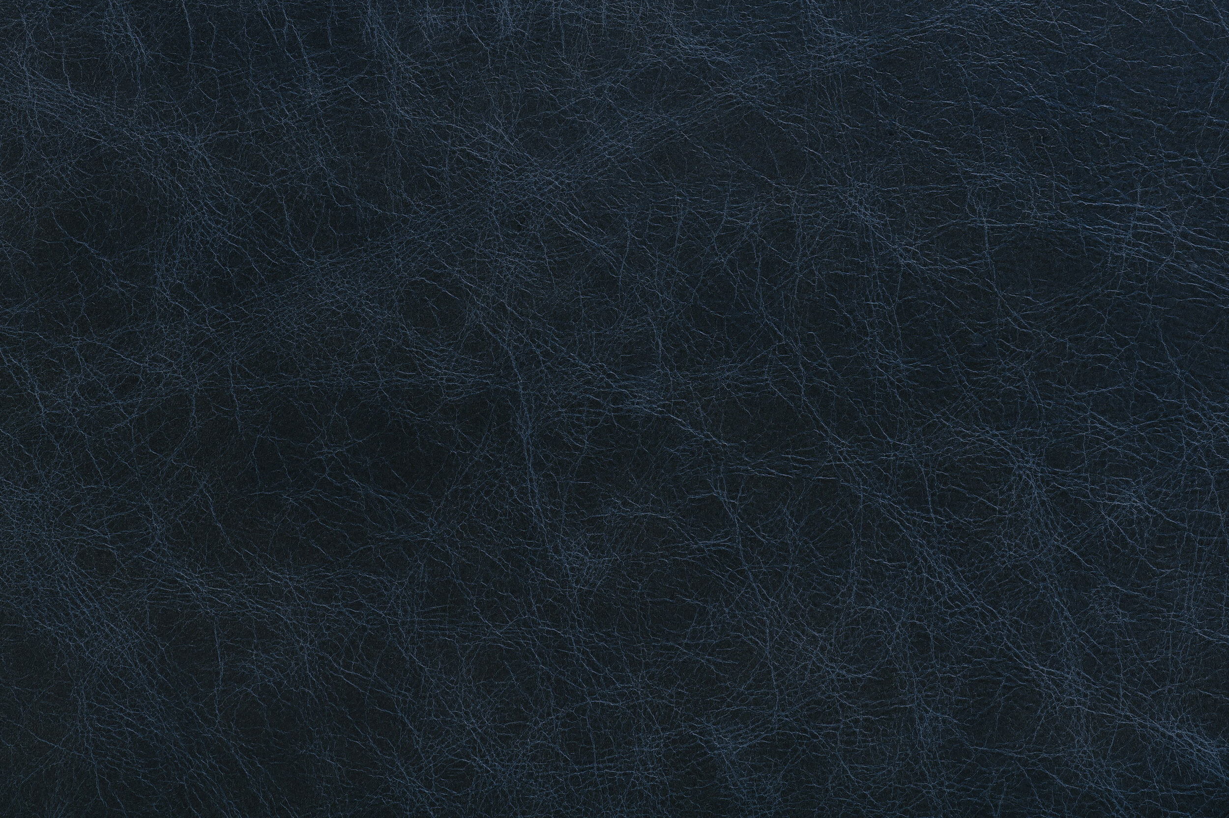 POW - Oil Be Damned | POW-05