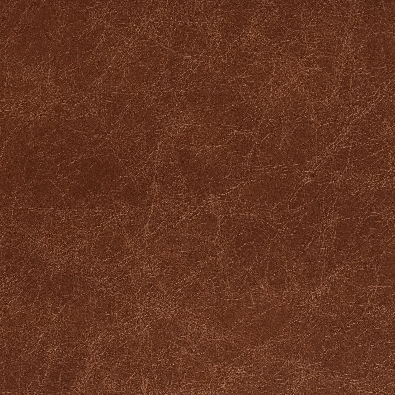 Zisu+Samples_September+2020-5657_2.2_v2.jpg