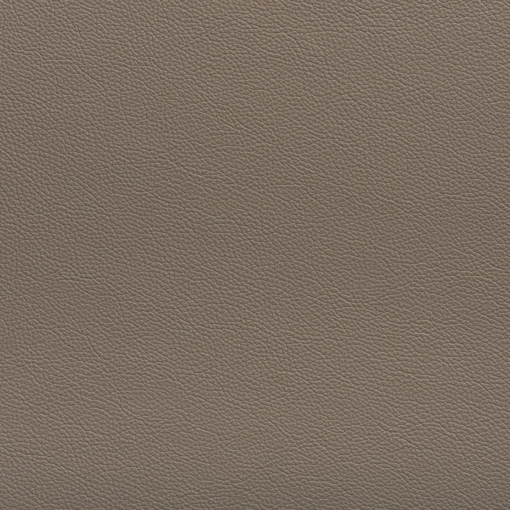 Zisu+Samples_September+2020-5662_1.7_v2.jpg