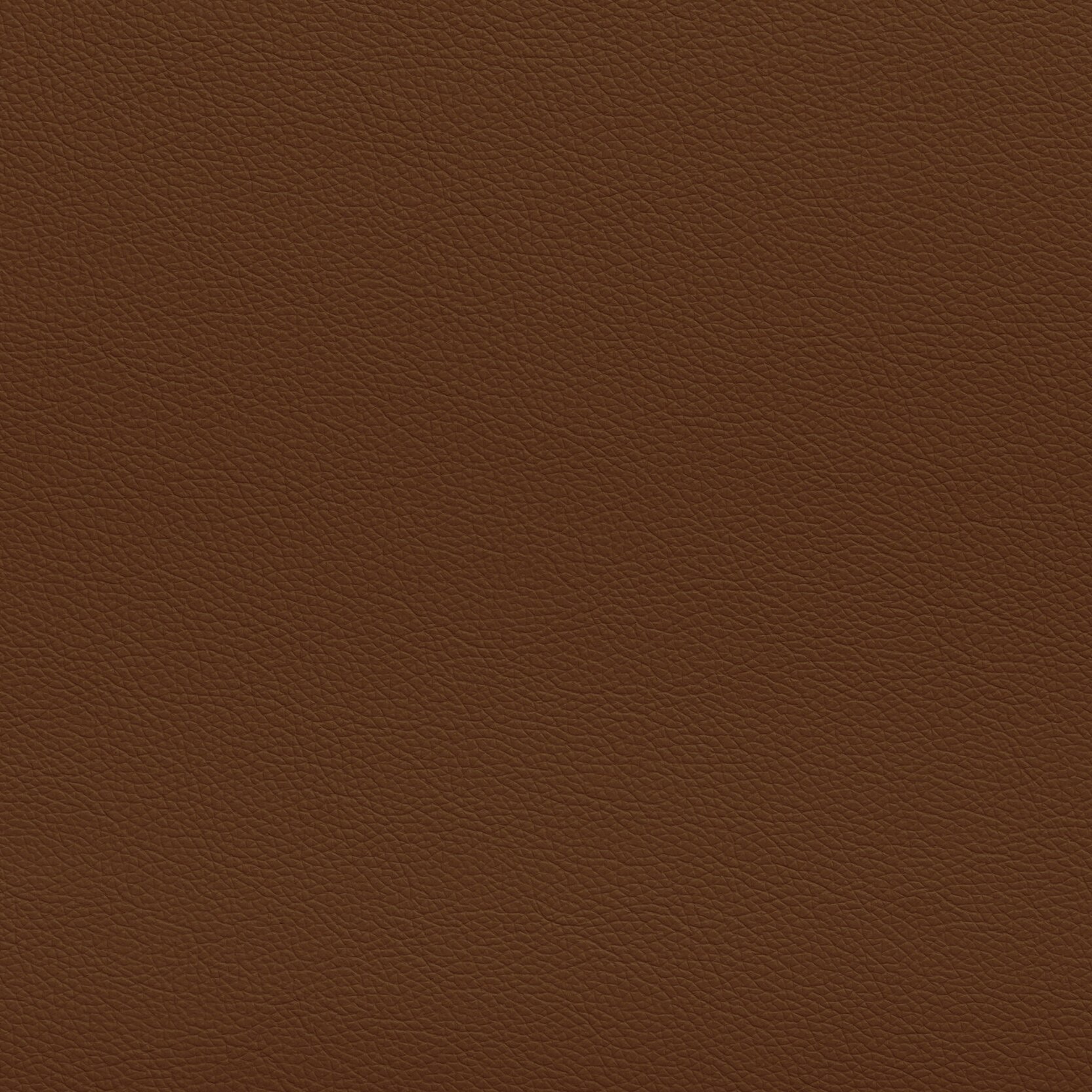 Zisu+Samples_September+2020-5662_1.9_v2.jpg