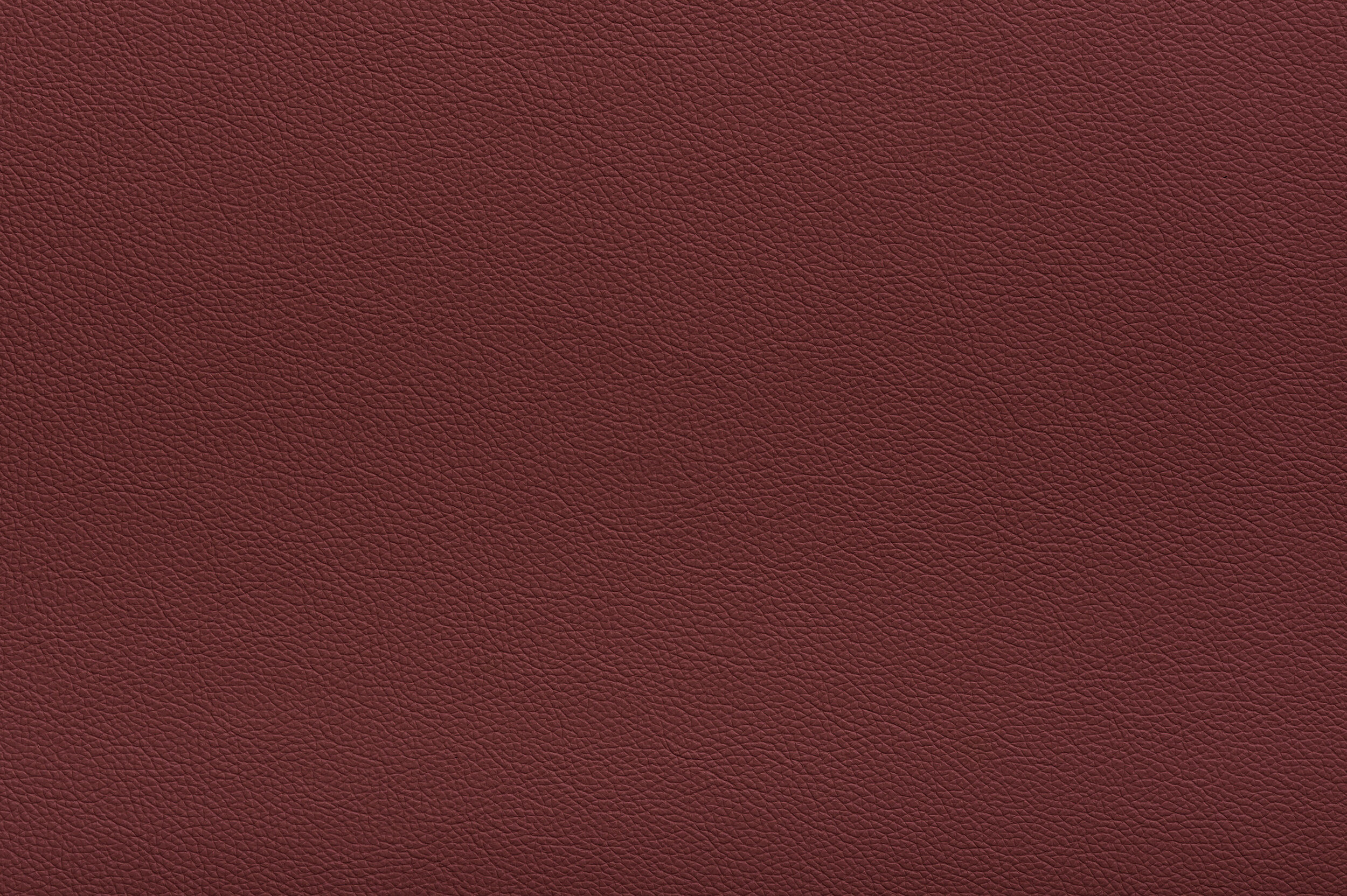 CRACKLE - Reddy or Not | CRA-08