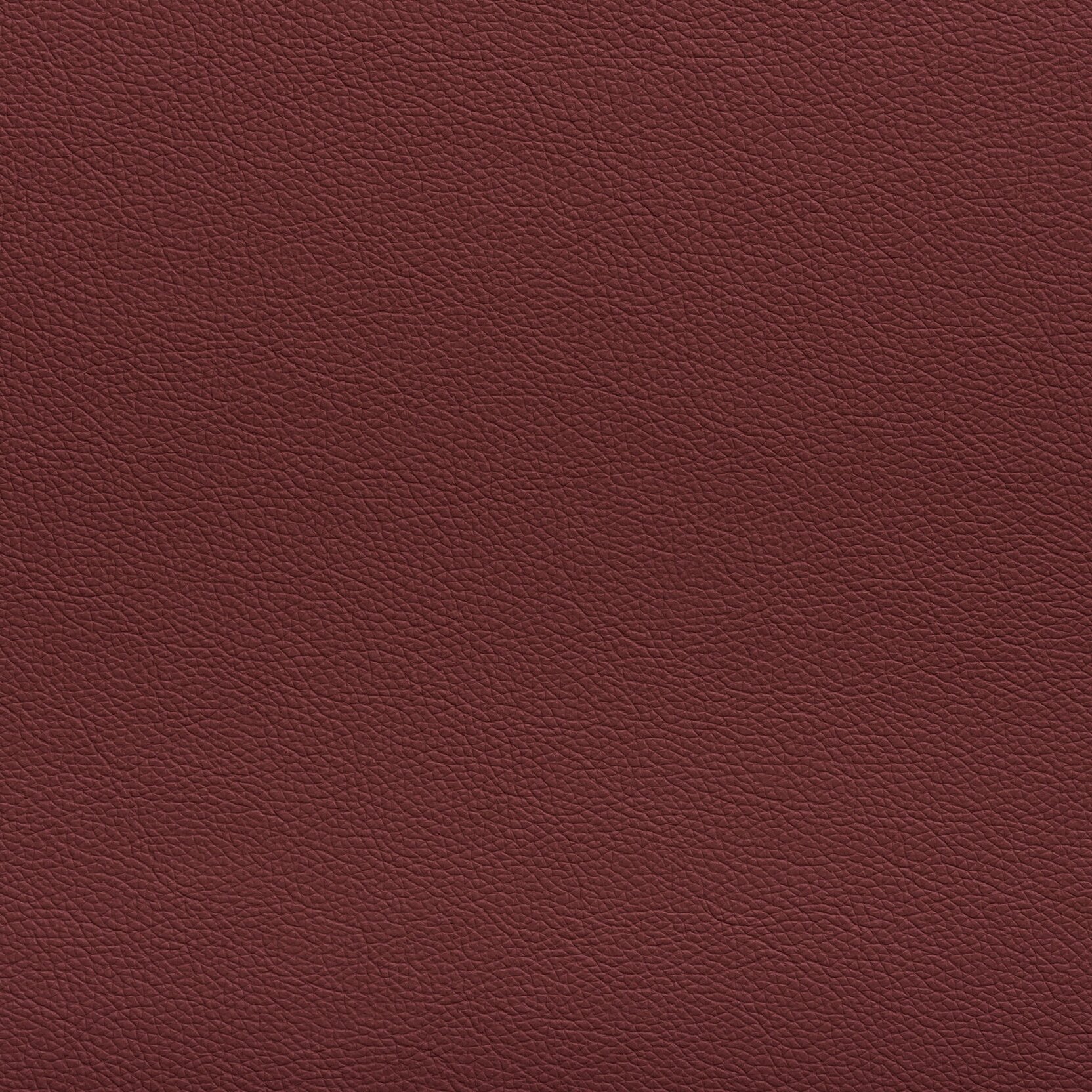 Zisu+Samples_September+2020-5662_1.8_v2.jpg