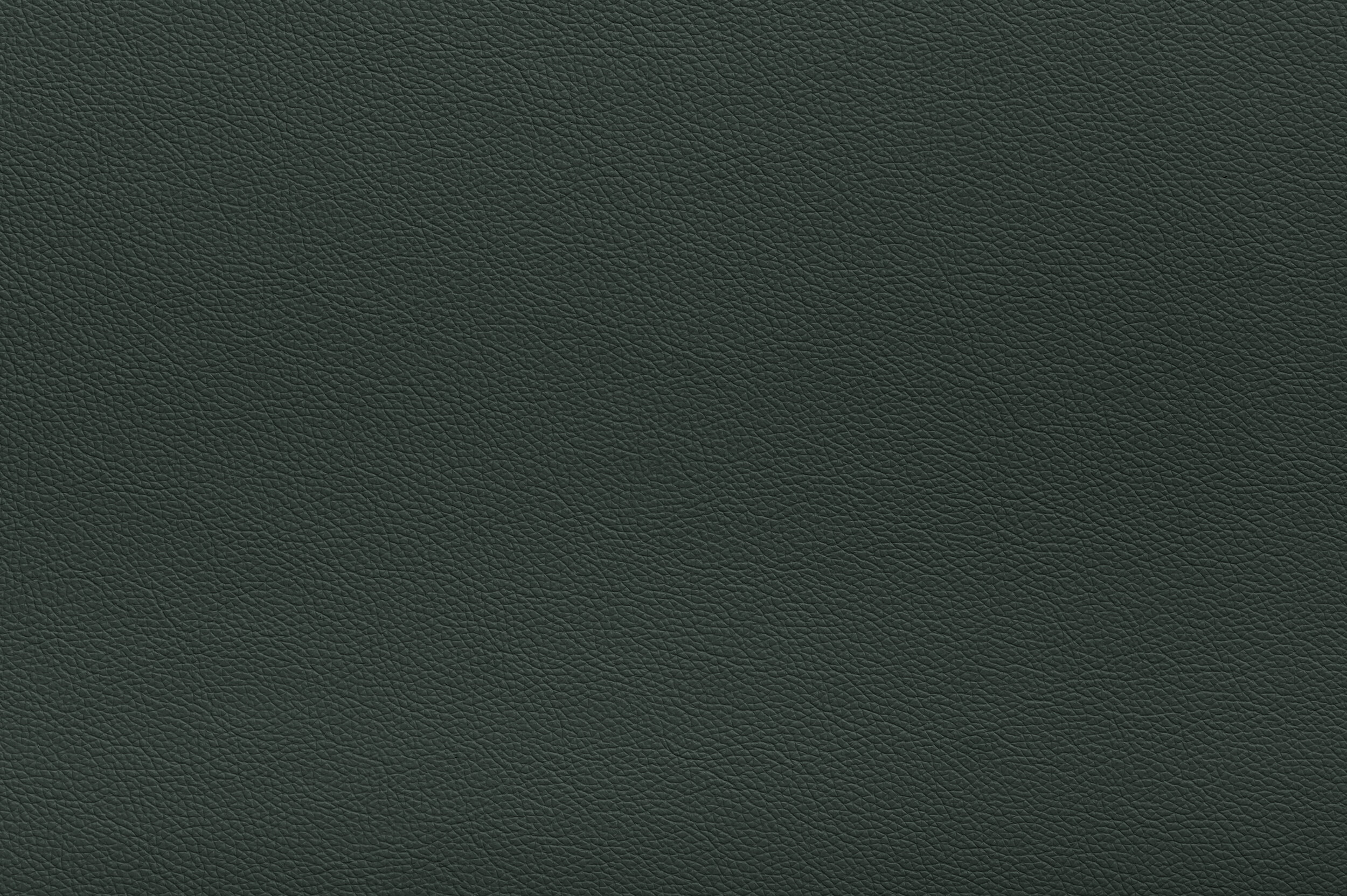 CRACKLE - Run Forest Run | CRA-15