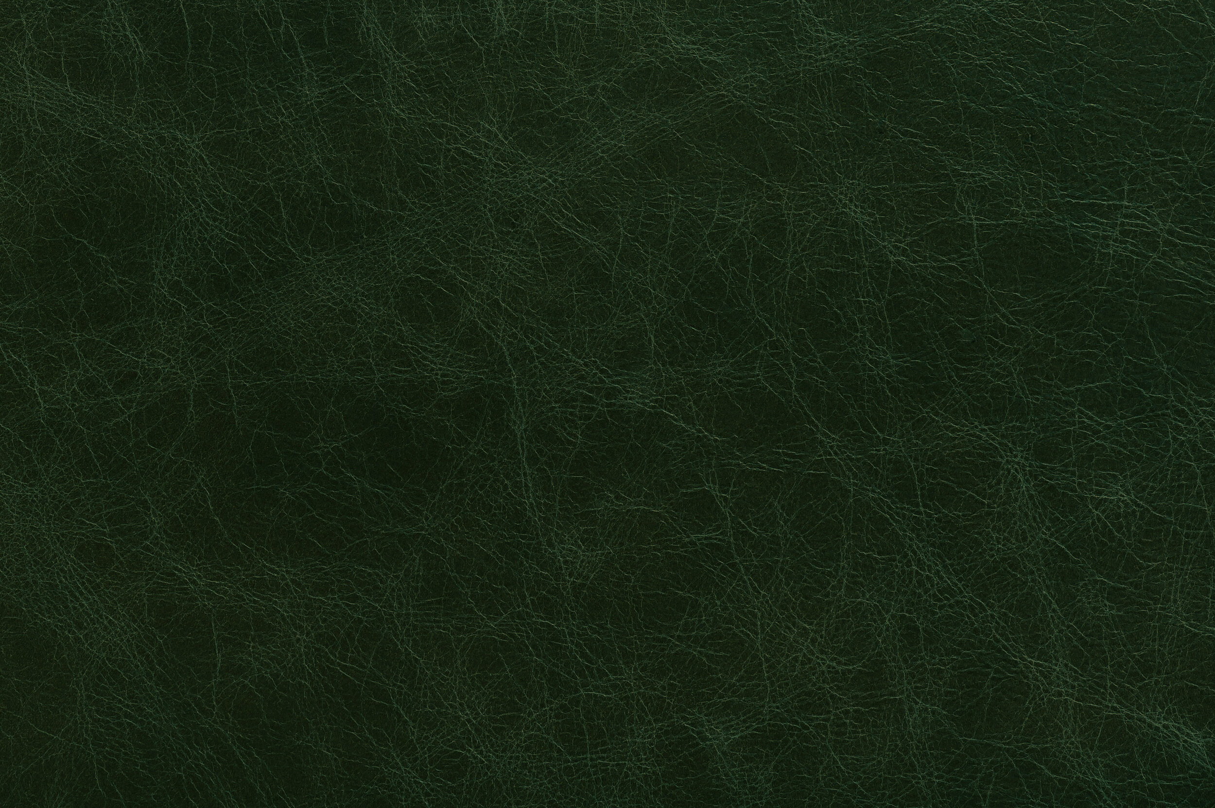 POW - Dollar Bill | POW-04