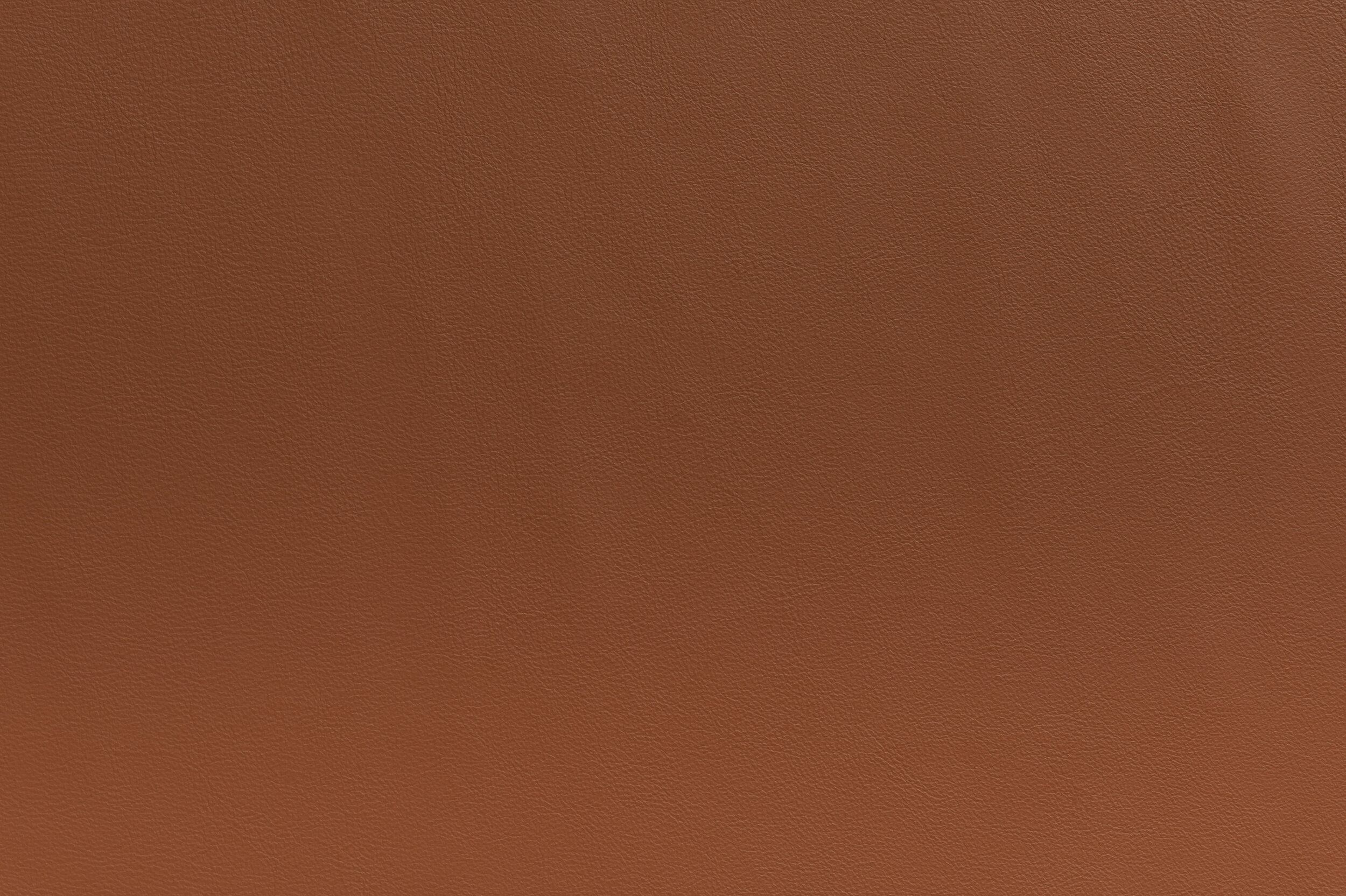 SNAP - Caramel Chew Chew | SNA-13