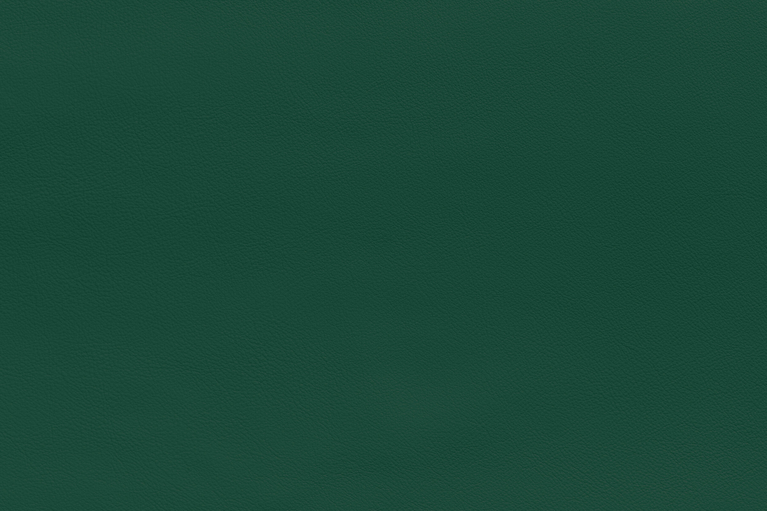 SNAP - Hawaii Five Oh | SNA-25