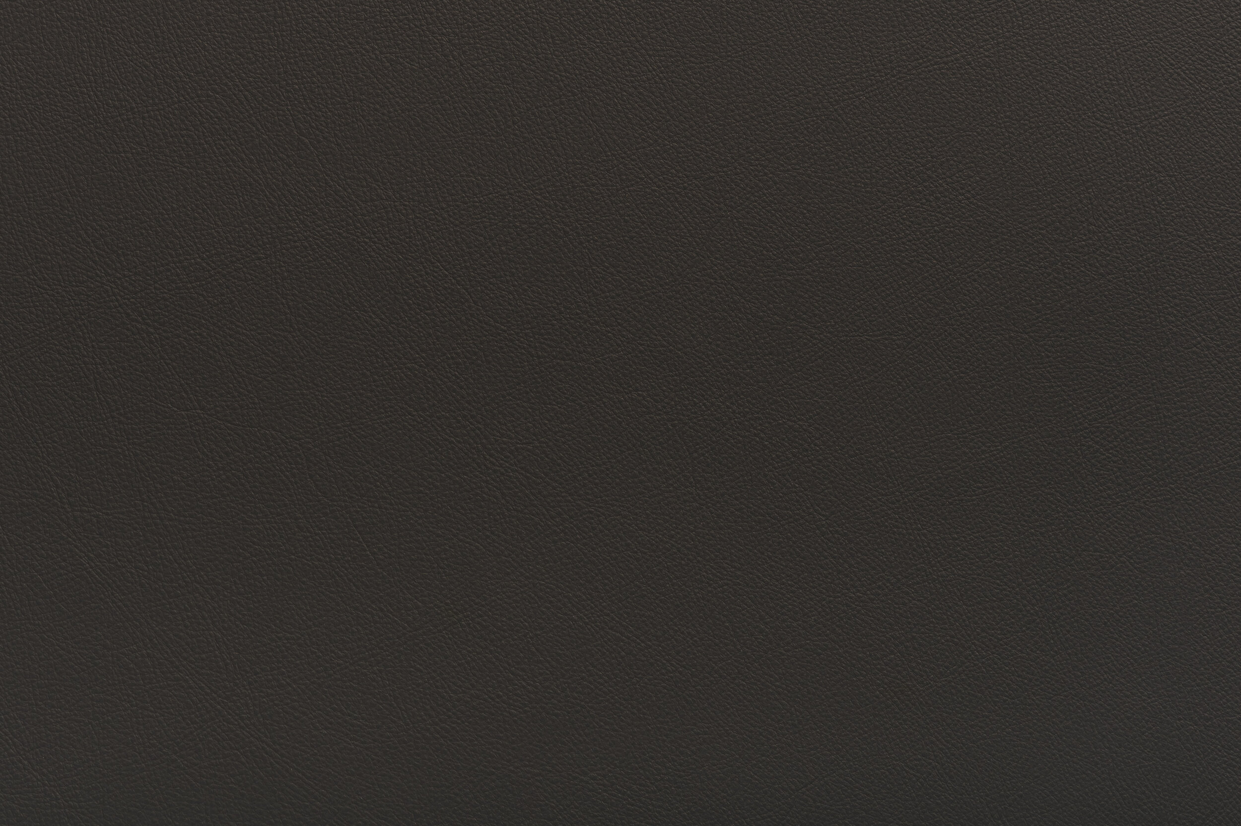 SNAP - Holy Cacao | SNA-11