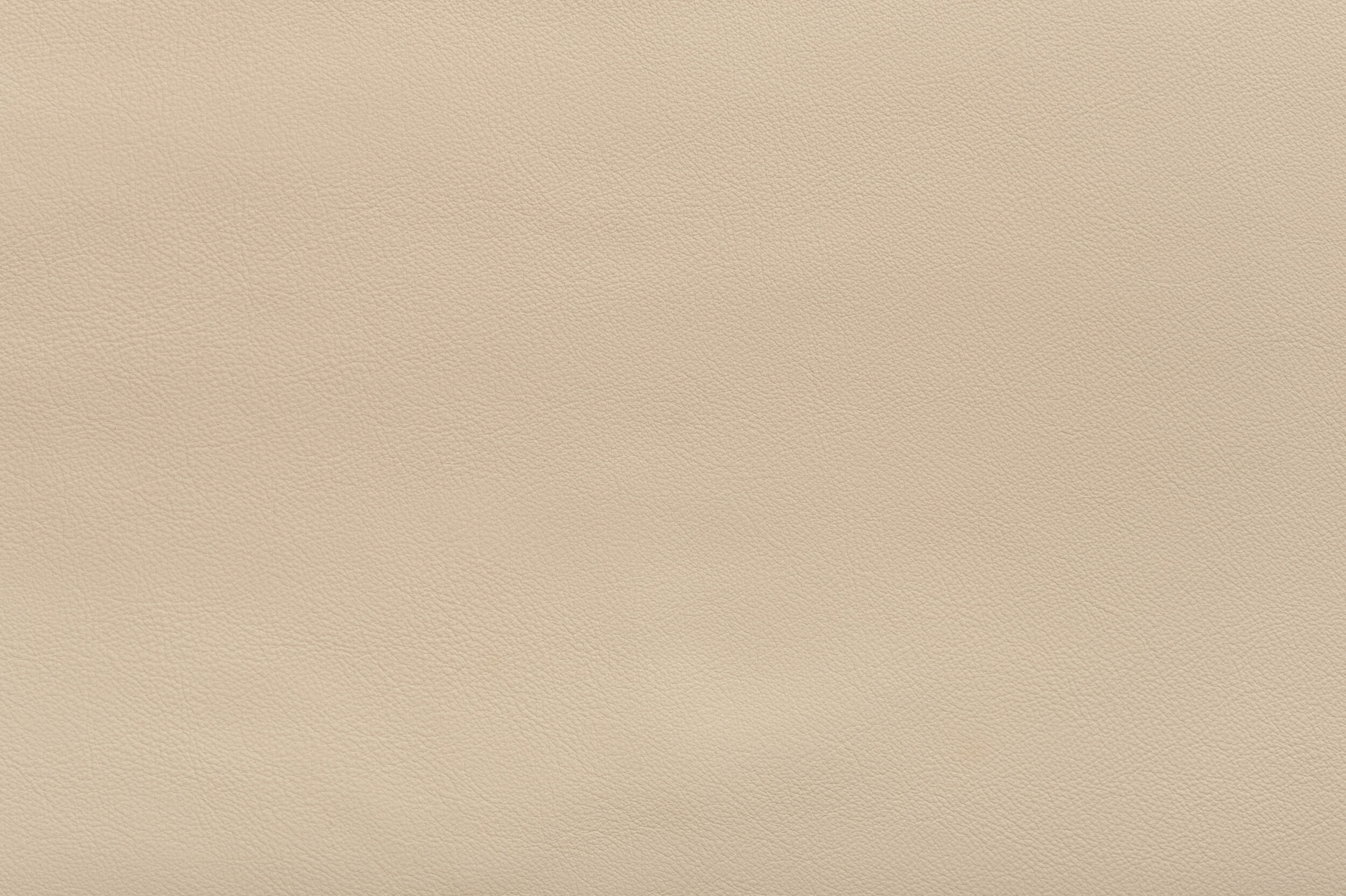 SNAP - Lazy Bones | SNA-06