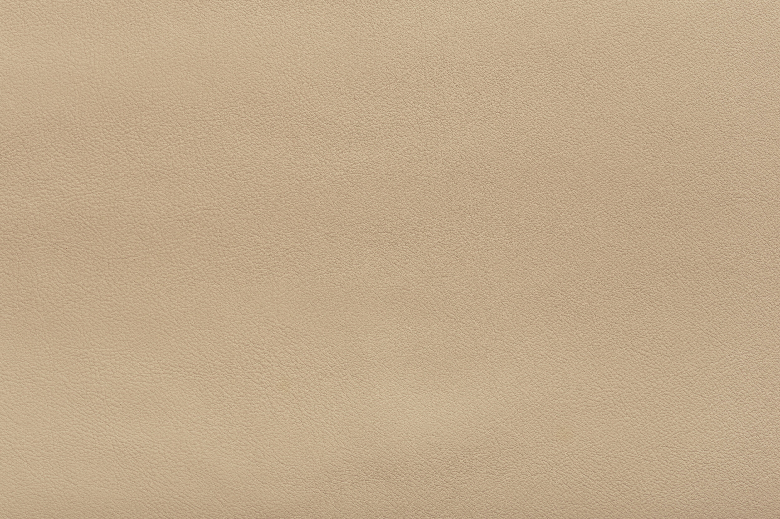 SNAP - On Taupe Of the World | SNA-07