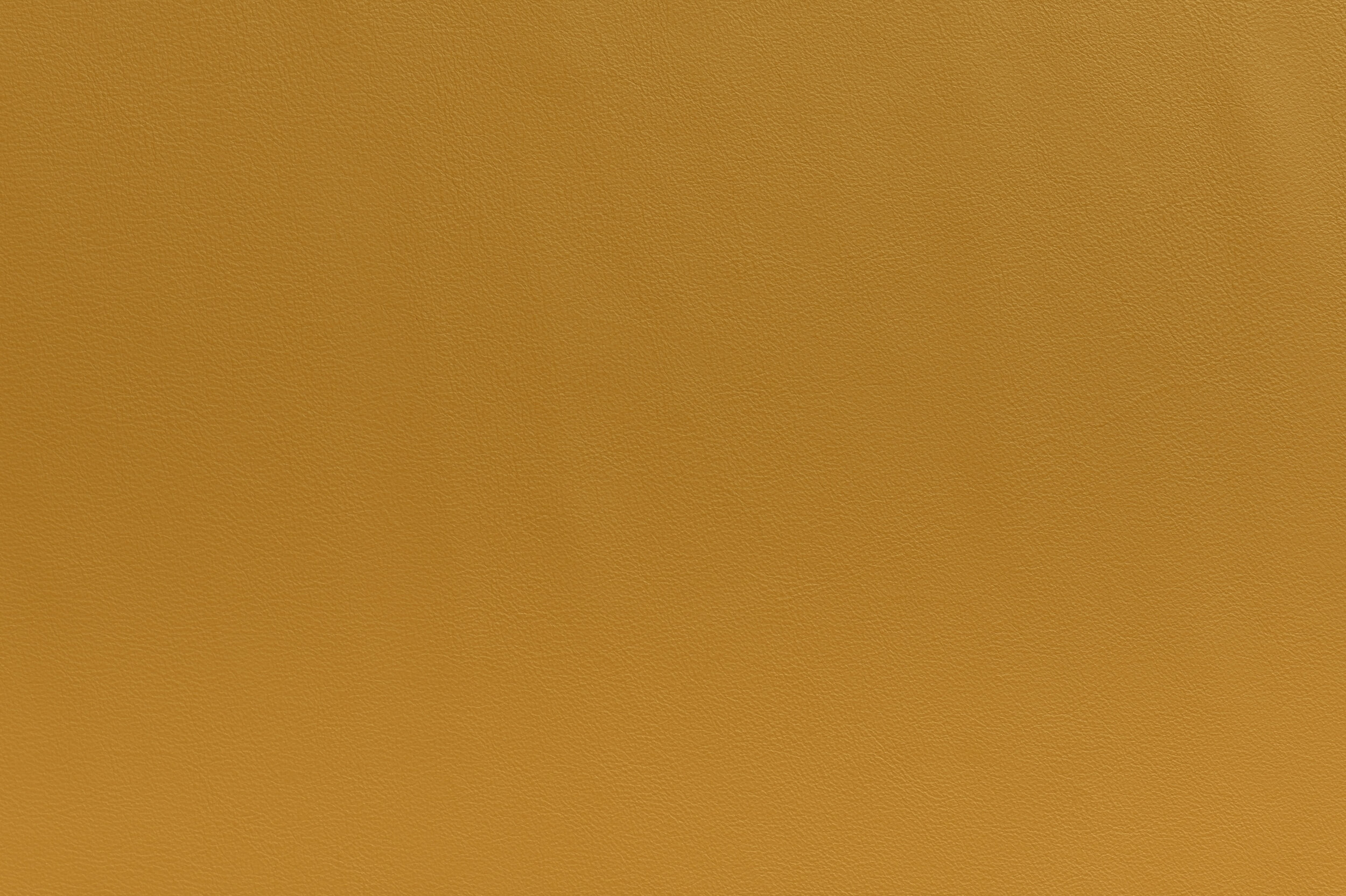 SNAP - Whats Up Buttercup | SNA-16