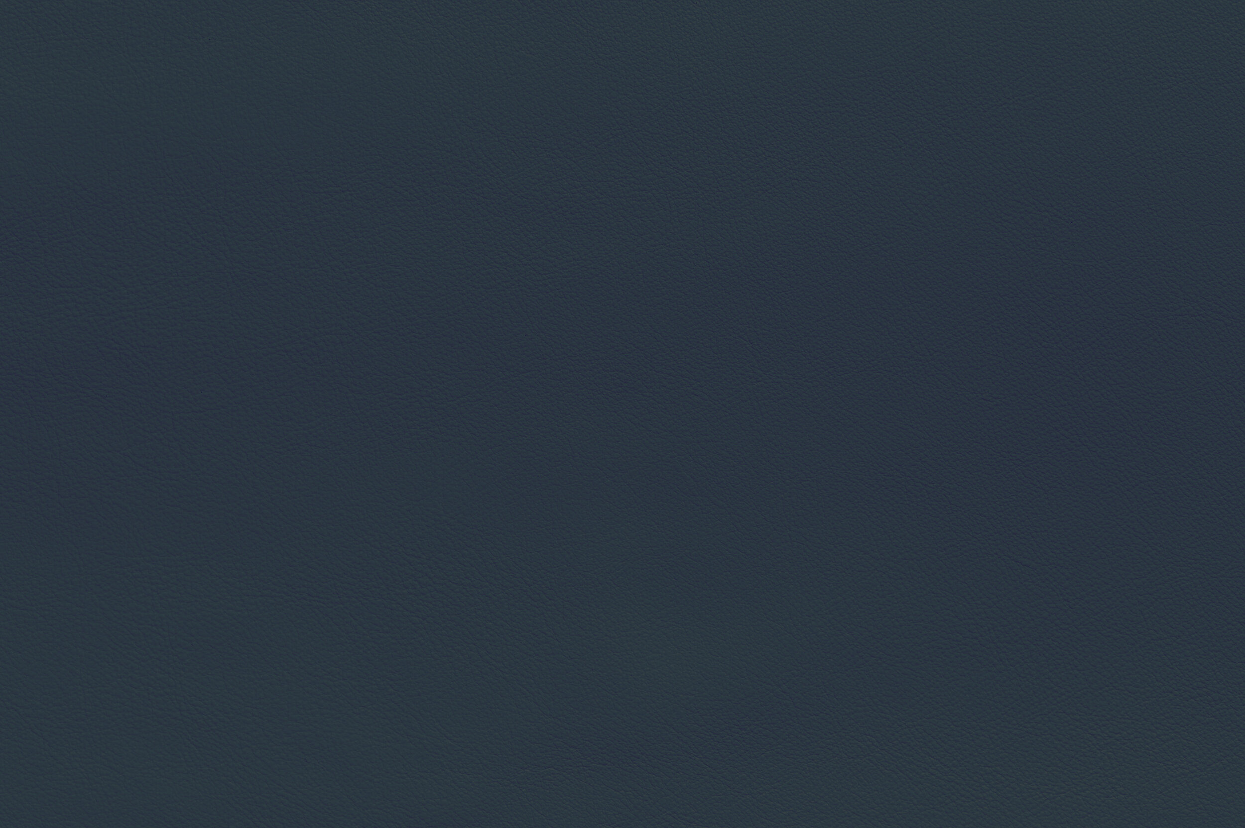 SNAP - Double Denim | SNA-31