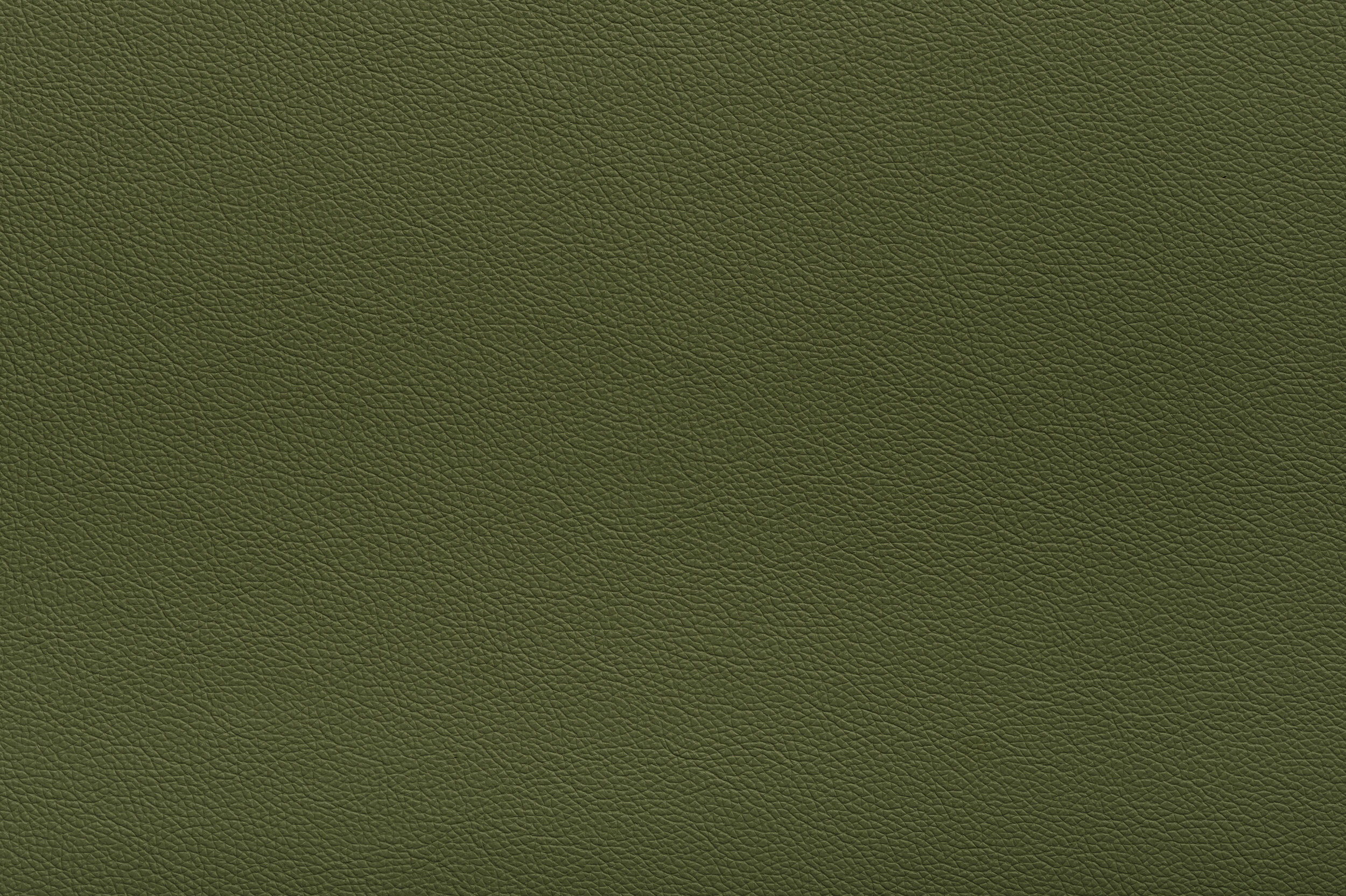 CRACKLE - Ninja Turtle | CRA-14