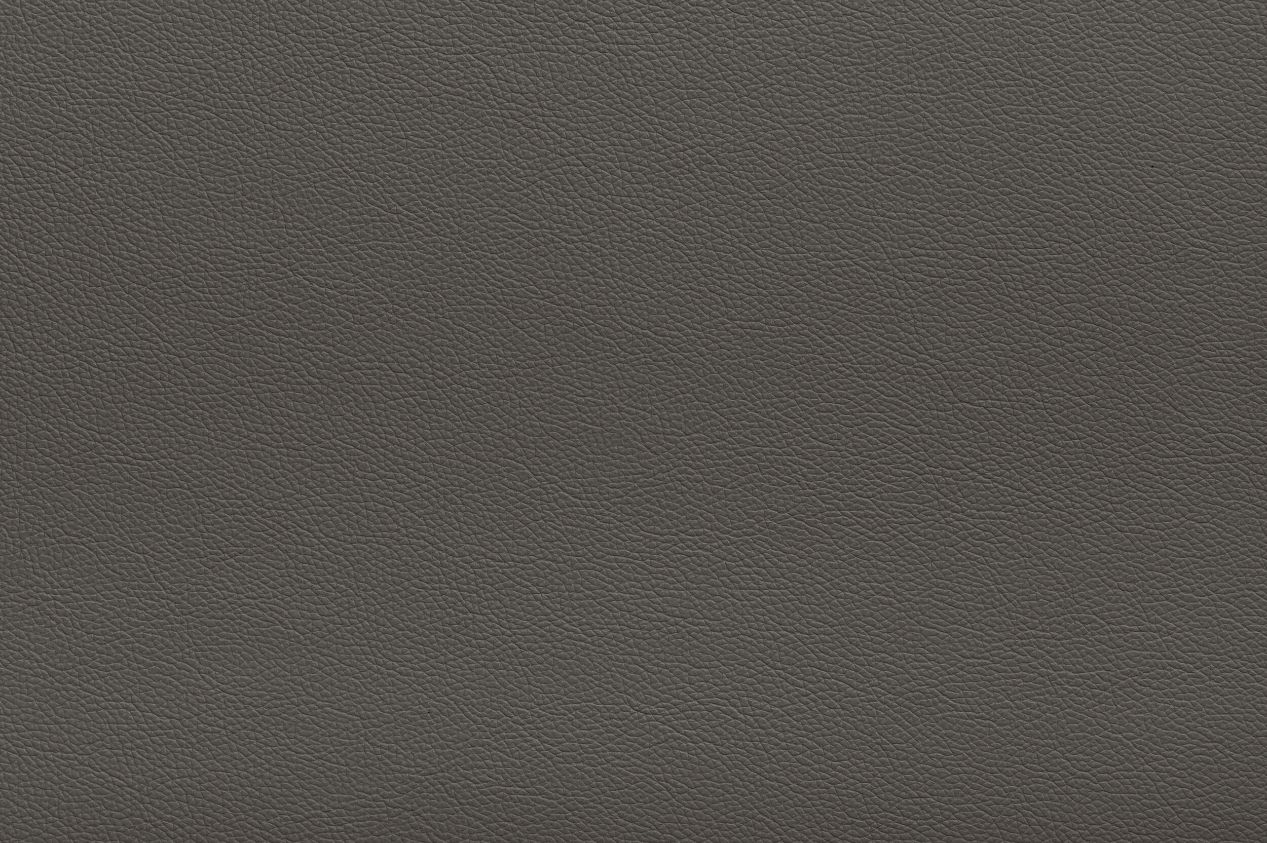 CRACKLE - Just in Thyme | CRA-17