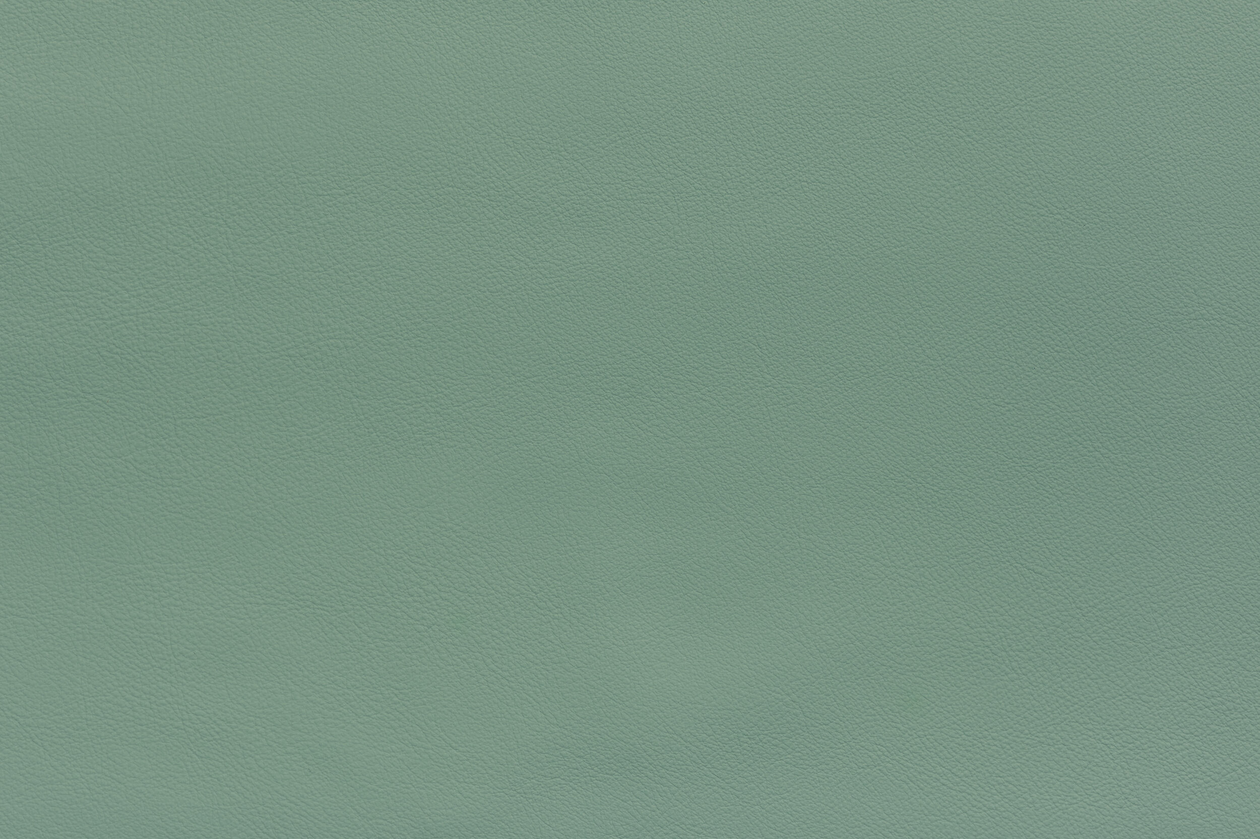 SNAP - Best Jade Plans | SNA-24