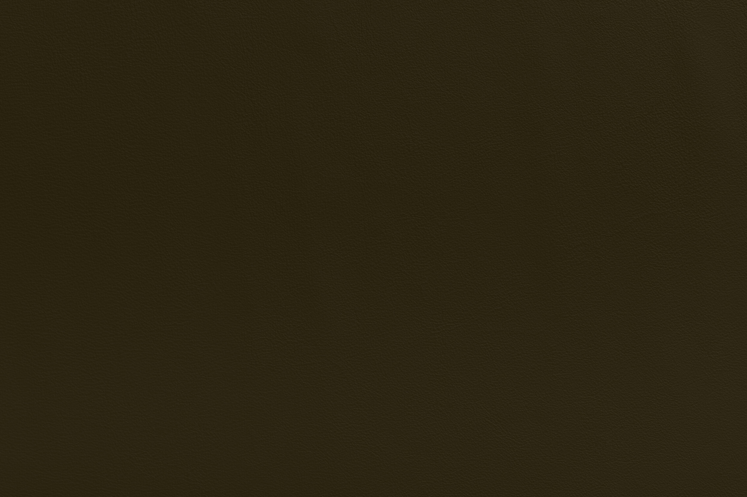 SNAP - Totally Swamped | SNA-21