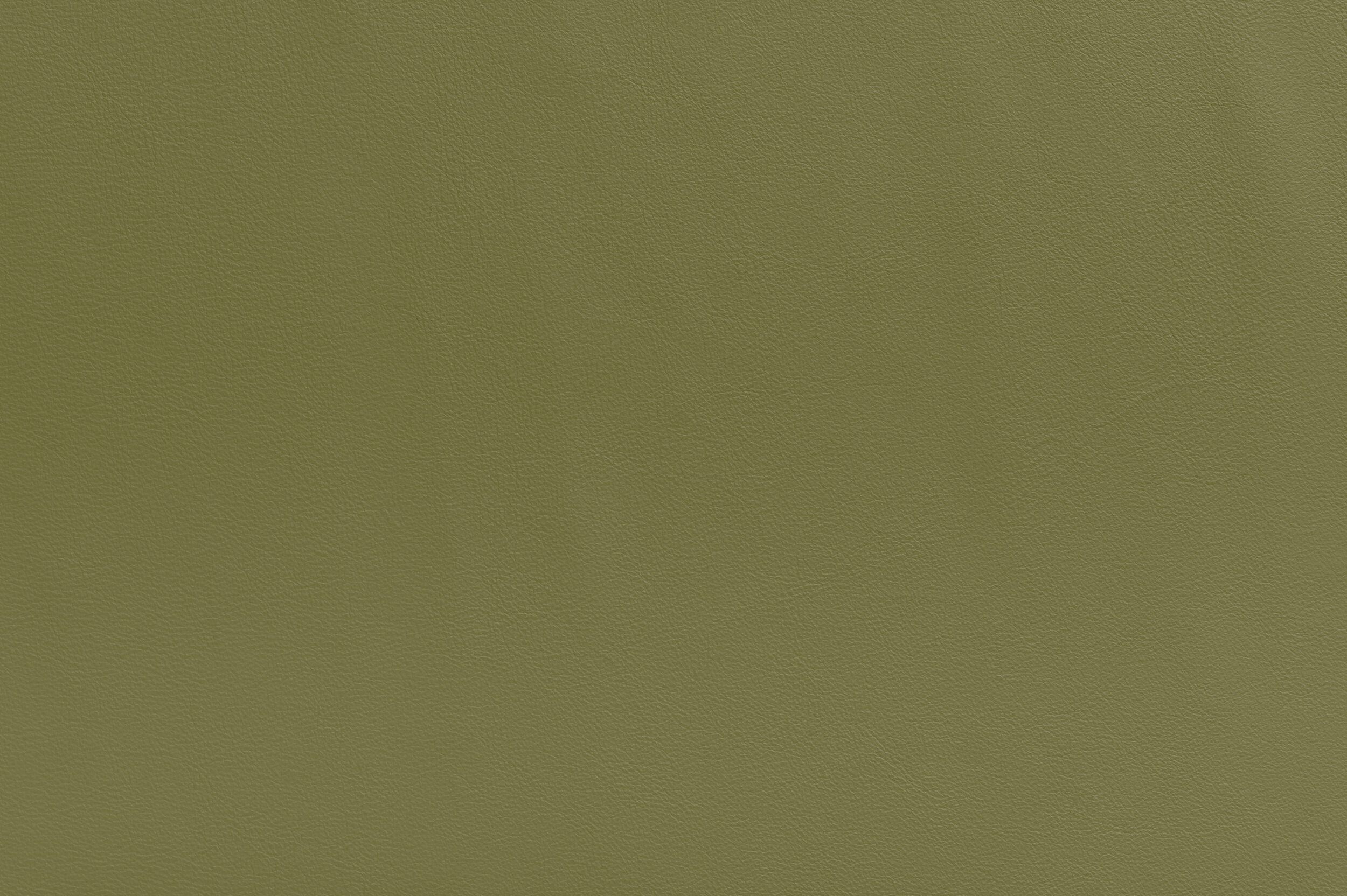 SNAP - Lime Out | SNA-20