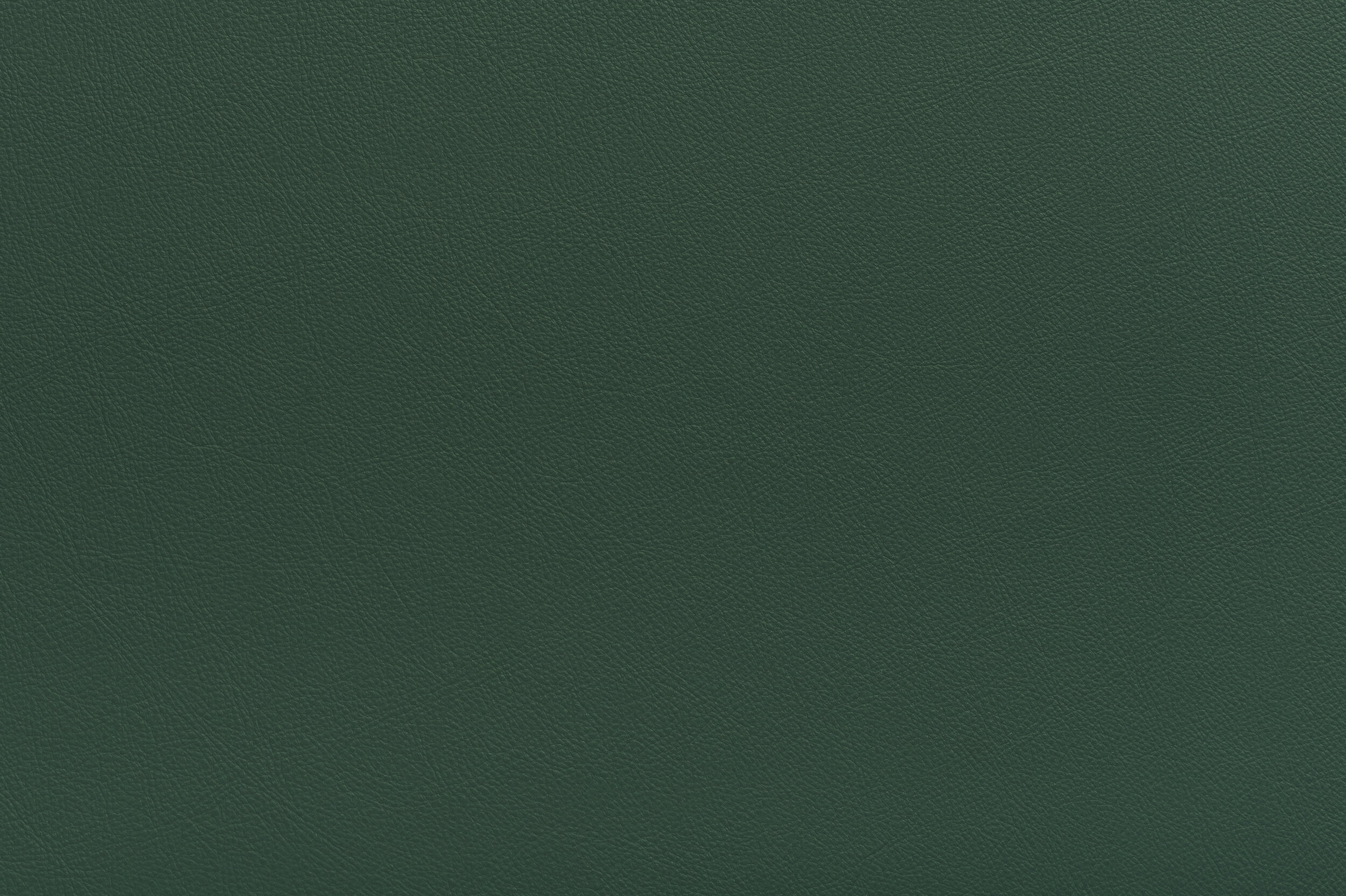 SNAP - Green Eyed Monster | SNA-09