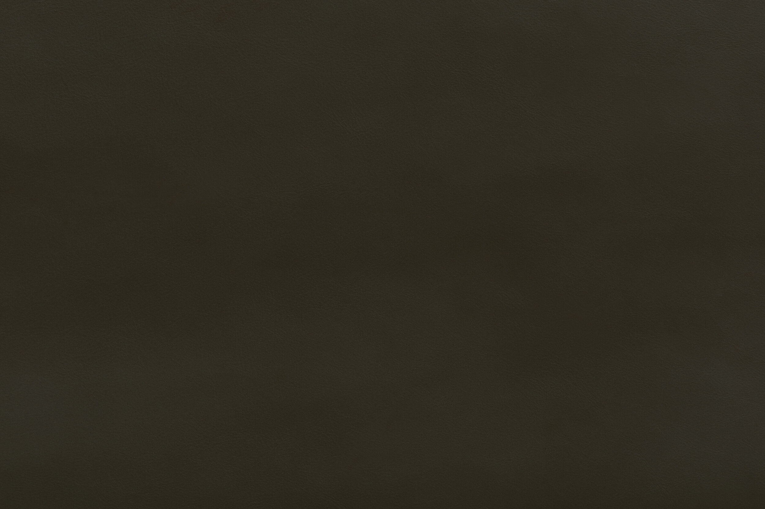 BOOSH - Swamp Thing | BOO-11