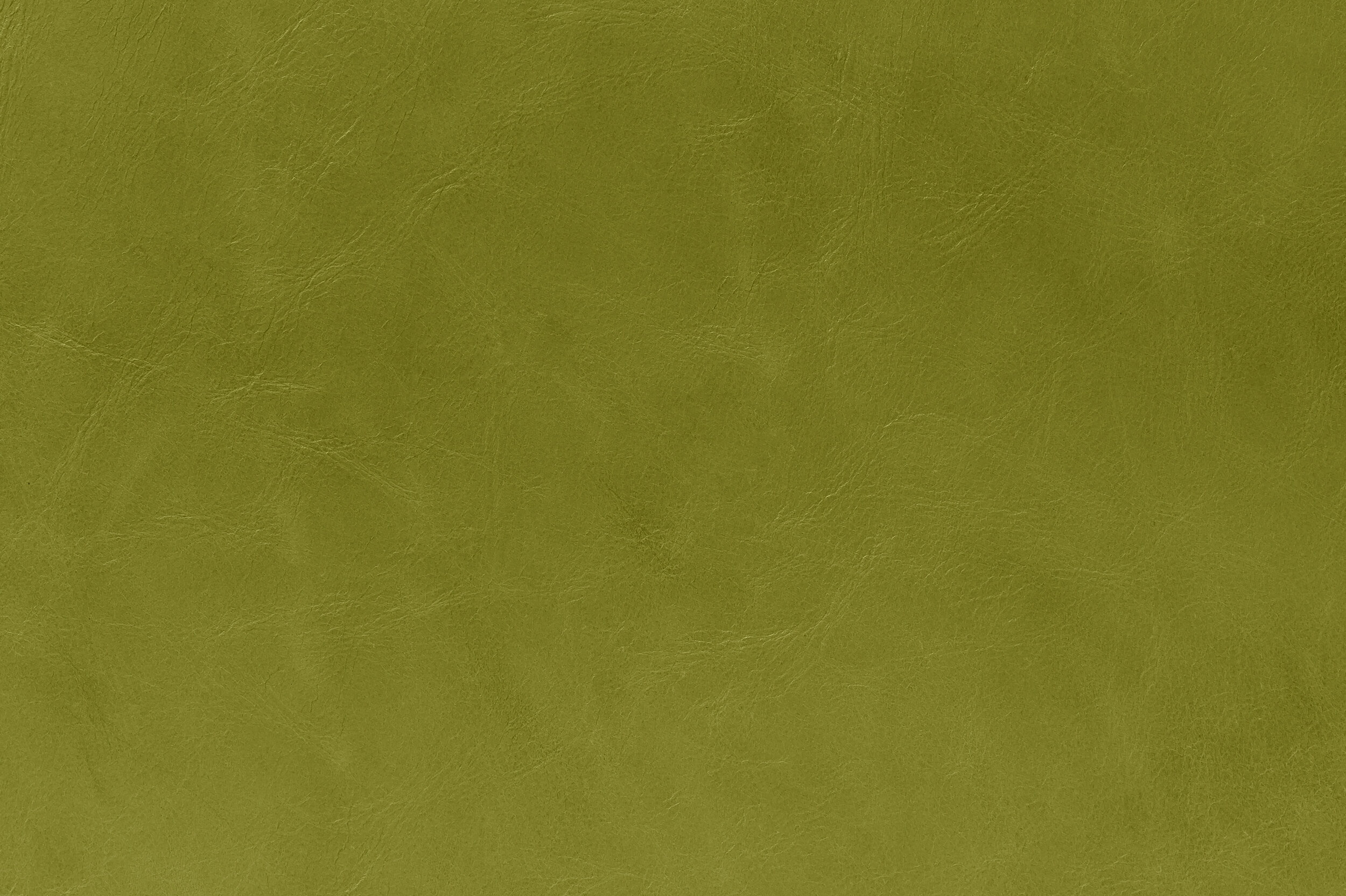 POP - Tropic Like Its Hot | POP-01