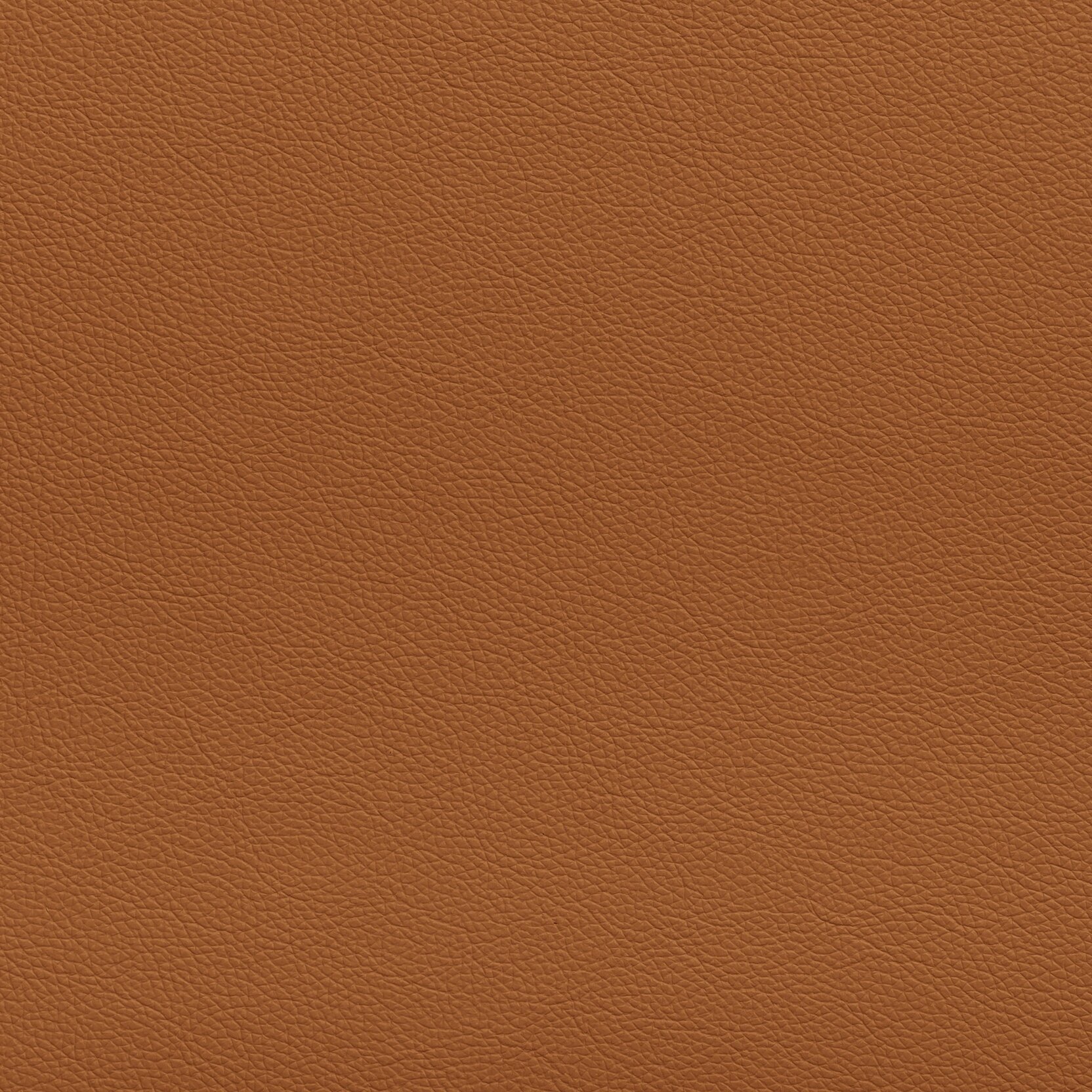 Zisu+Samples_September+2020-5662_1.4_v2.jpg