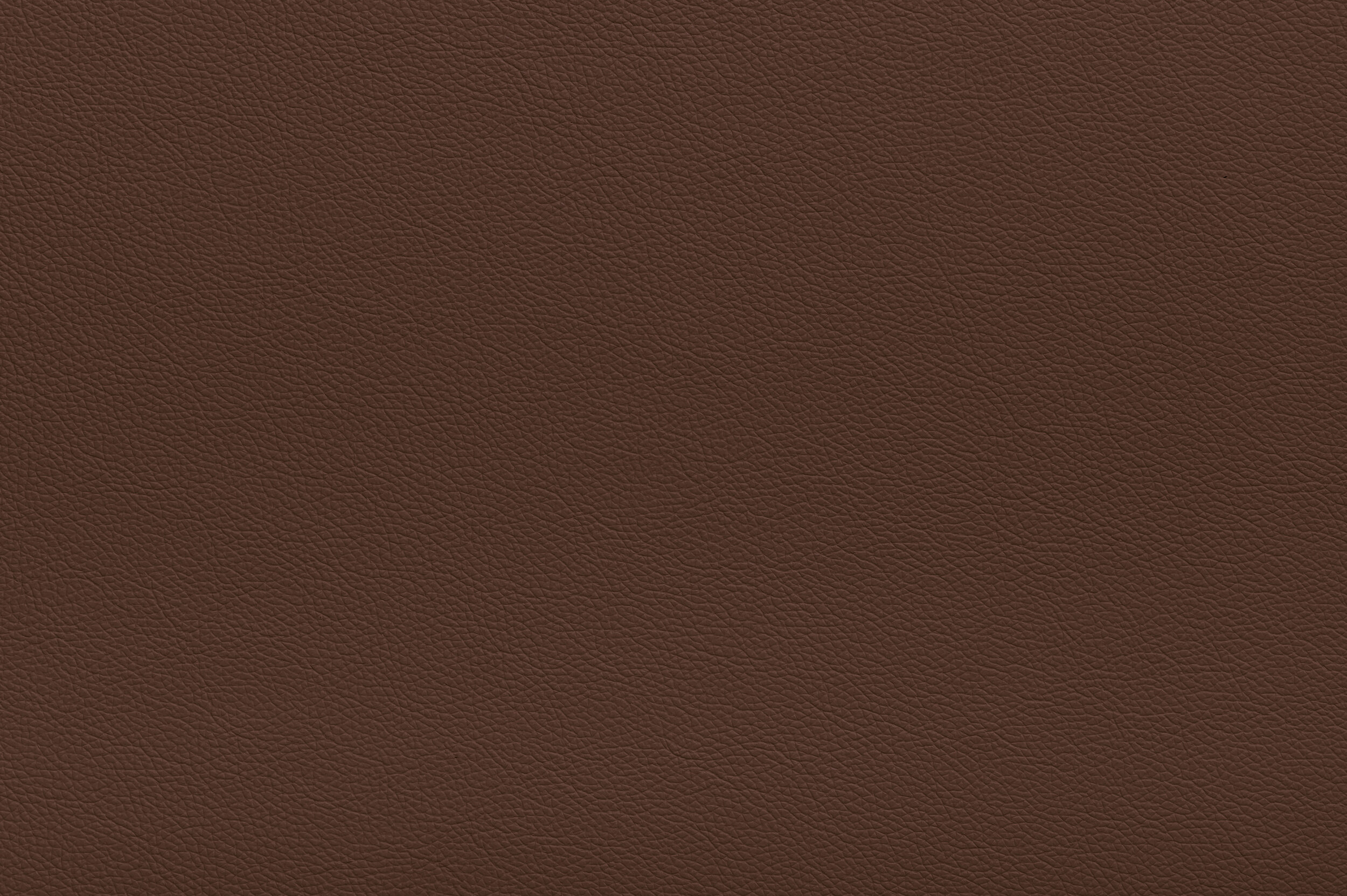 CRACKLE - Totally Conkers | CRA-05