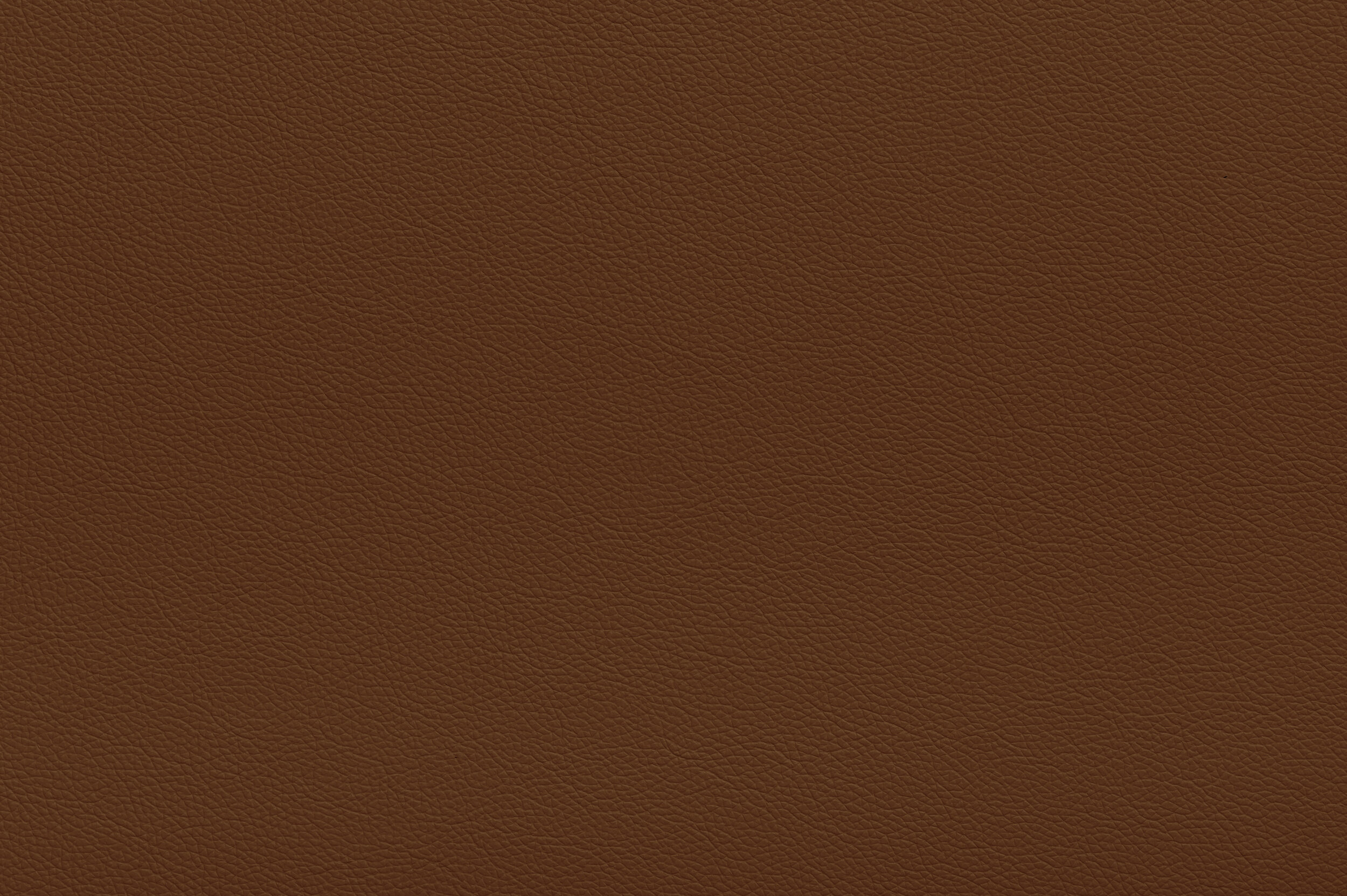 CRACKLE - Campfire S'Mores | CRA-09