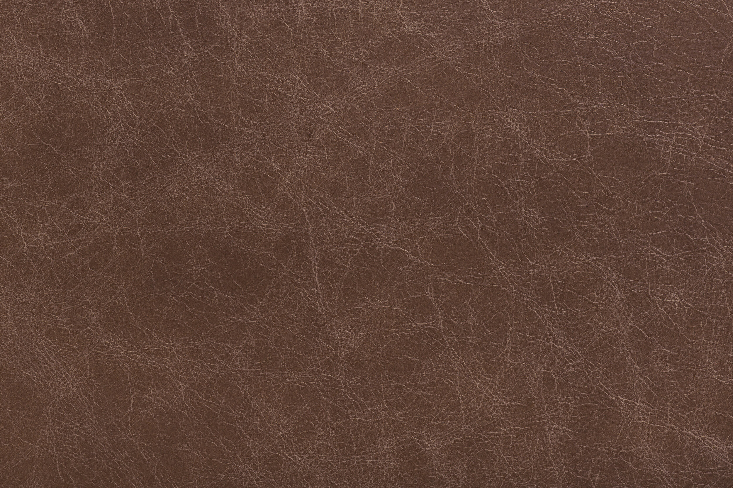 POW - Get a Twiggle On | POW-03