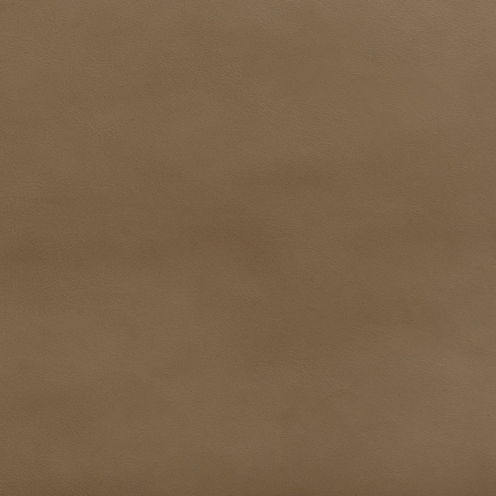 Zisu+Samples_September+2020-5664_5.2_v2.jpg