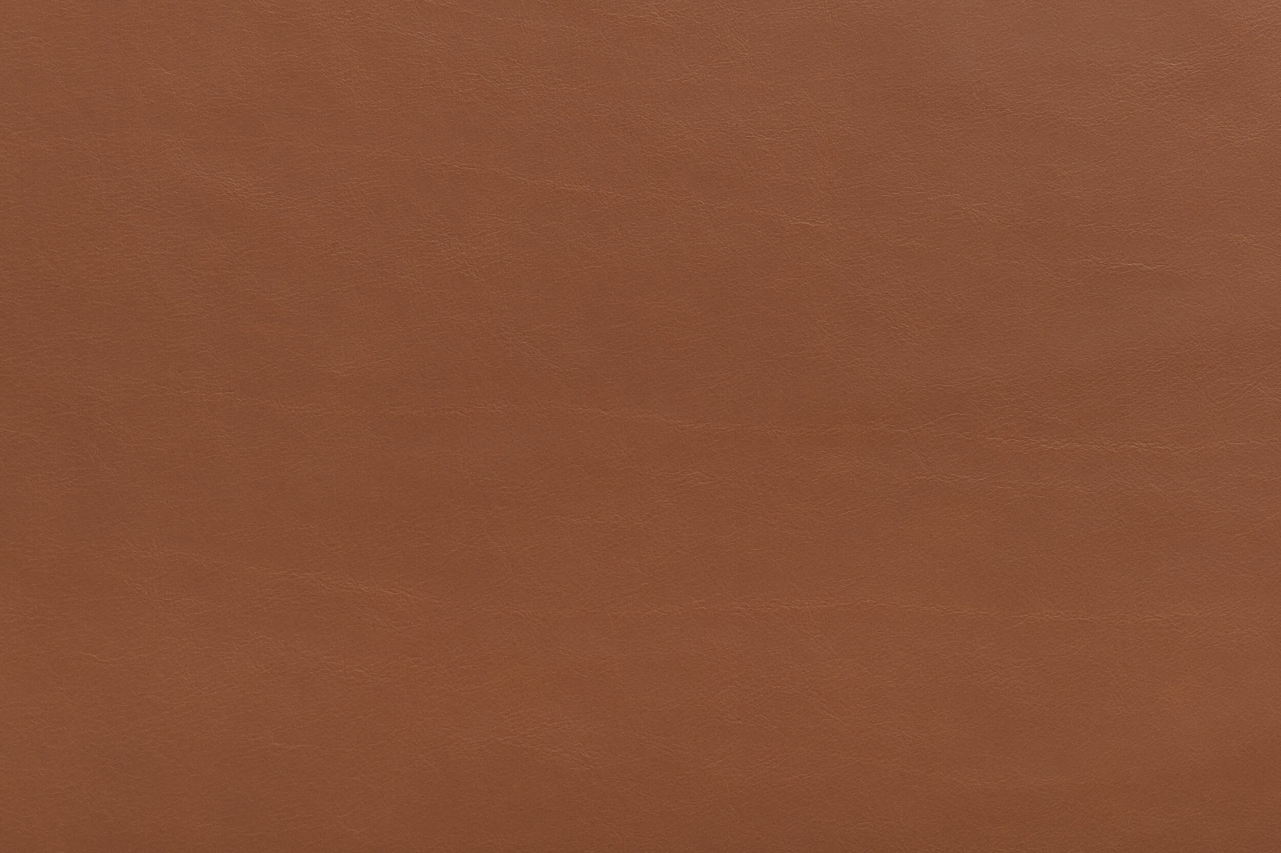 BOOSH - Pretty Penny | BOO-06