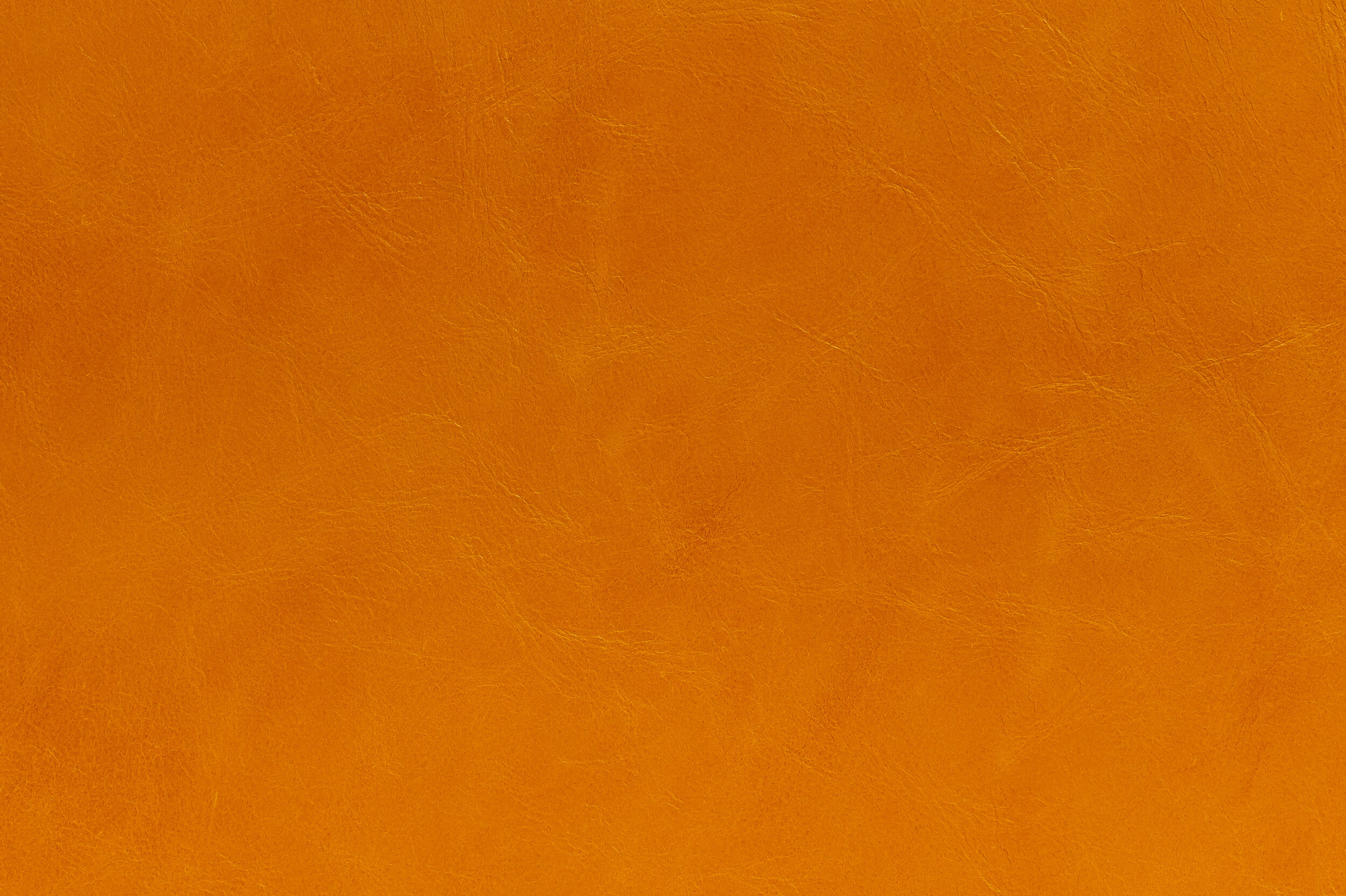 POP - Papayeah | POP-09