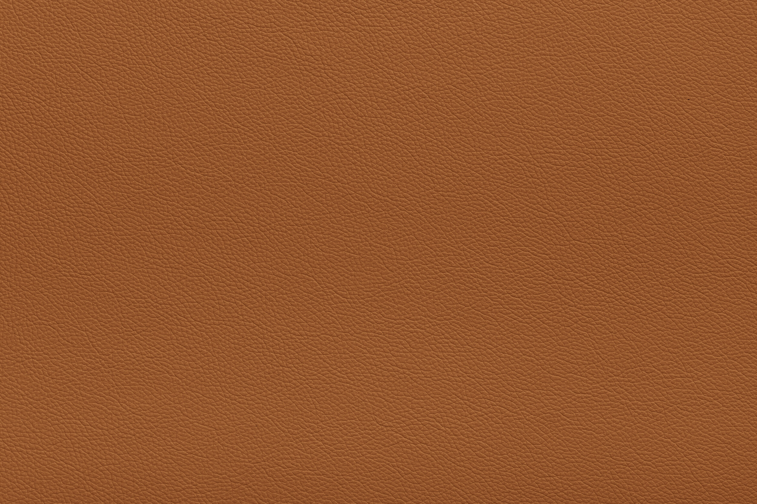 CRACKLE - Gingerbread Man | CRA-04