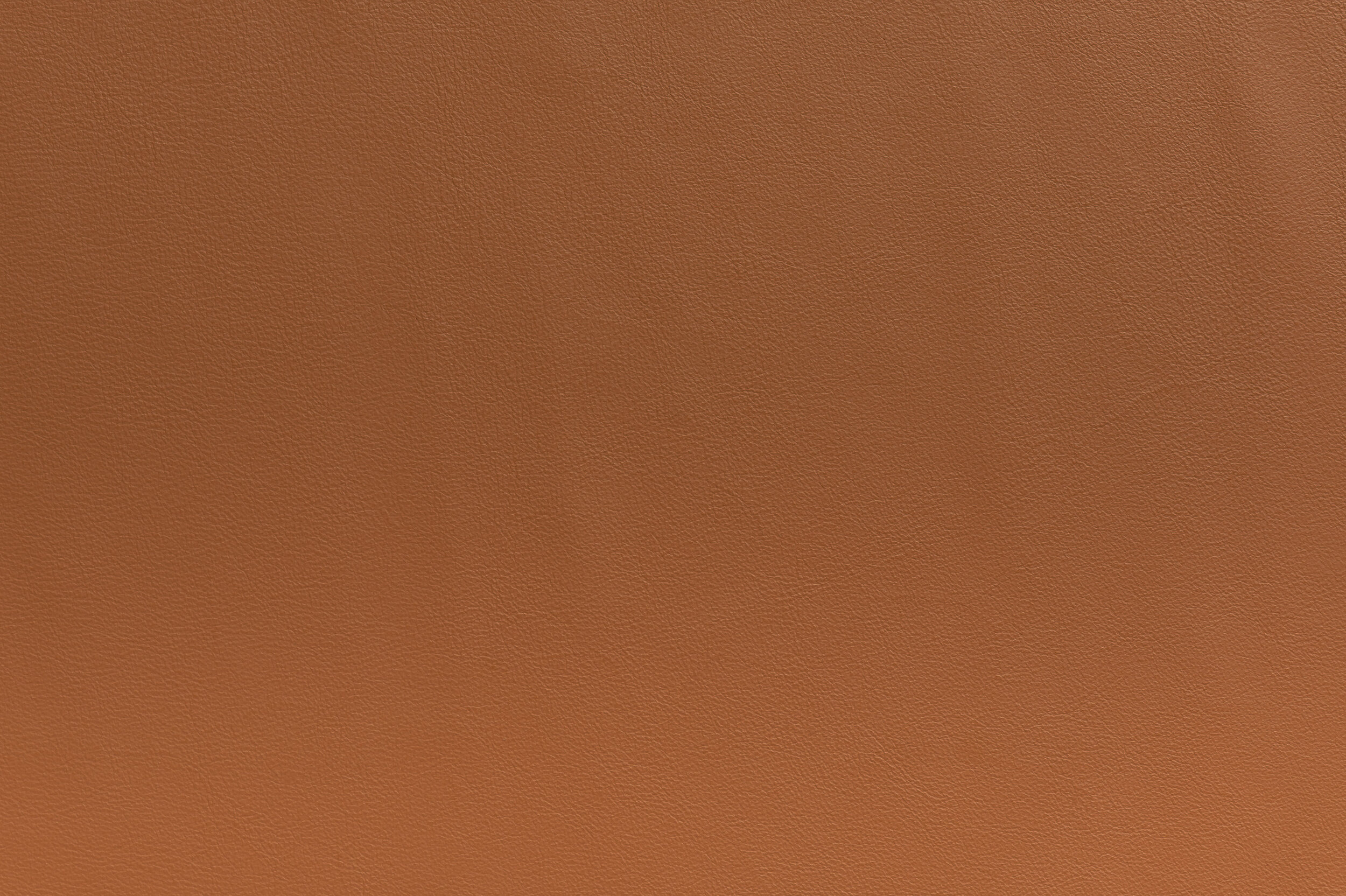 SNAP - Count To Tan | SNA-12