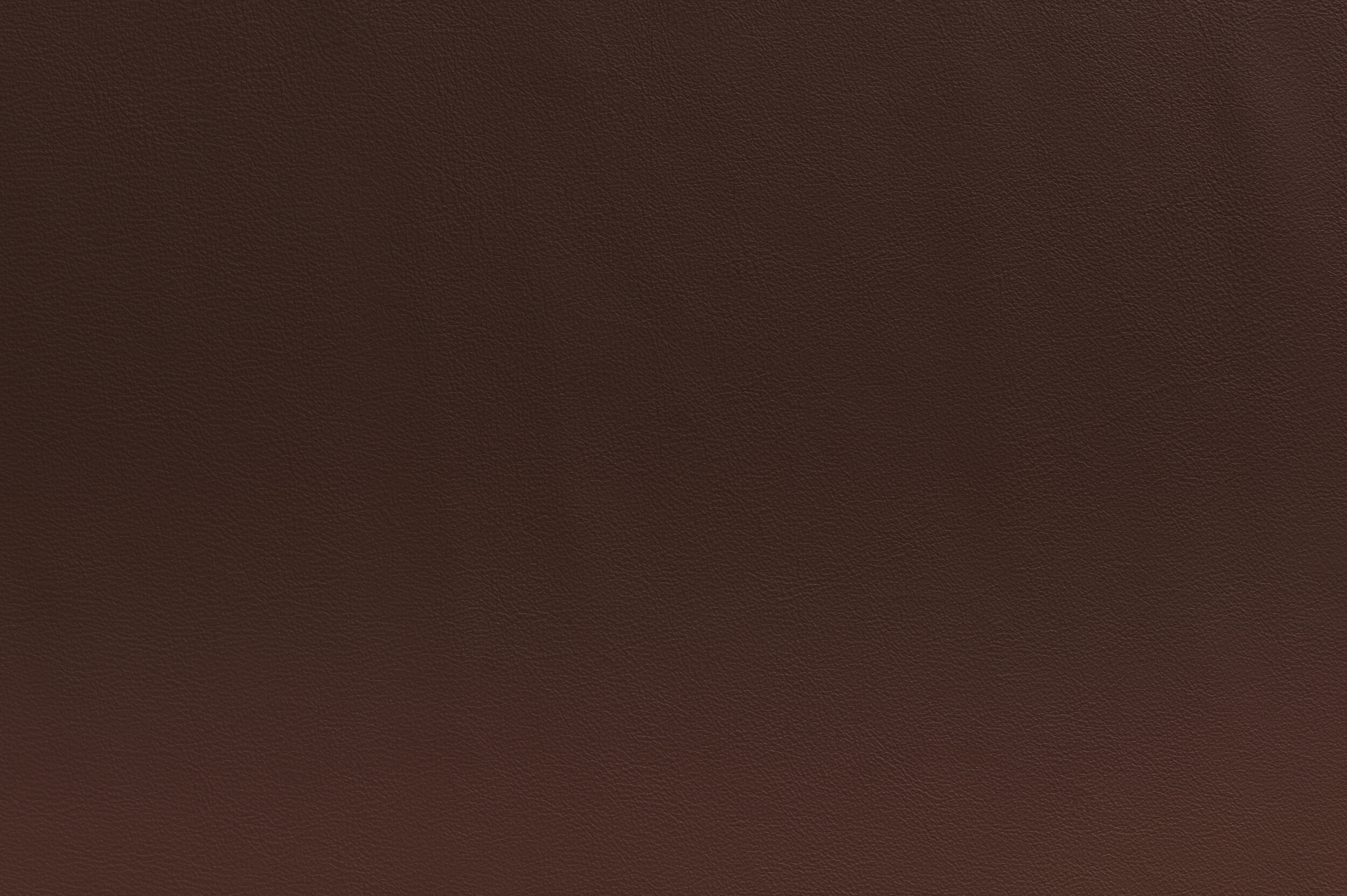 SNAP - Raisin the Bar | SNA-14