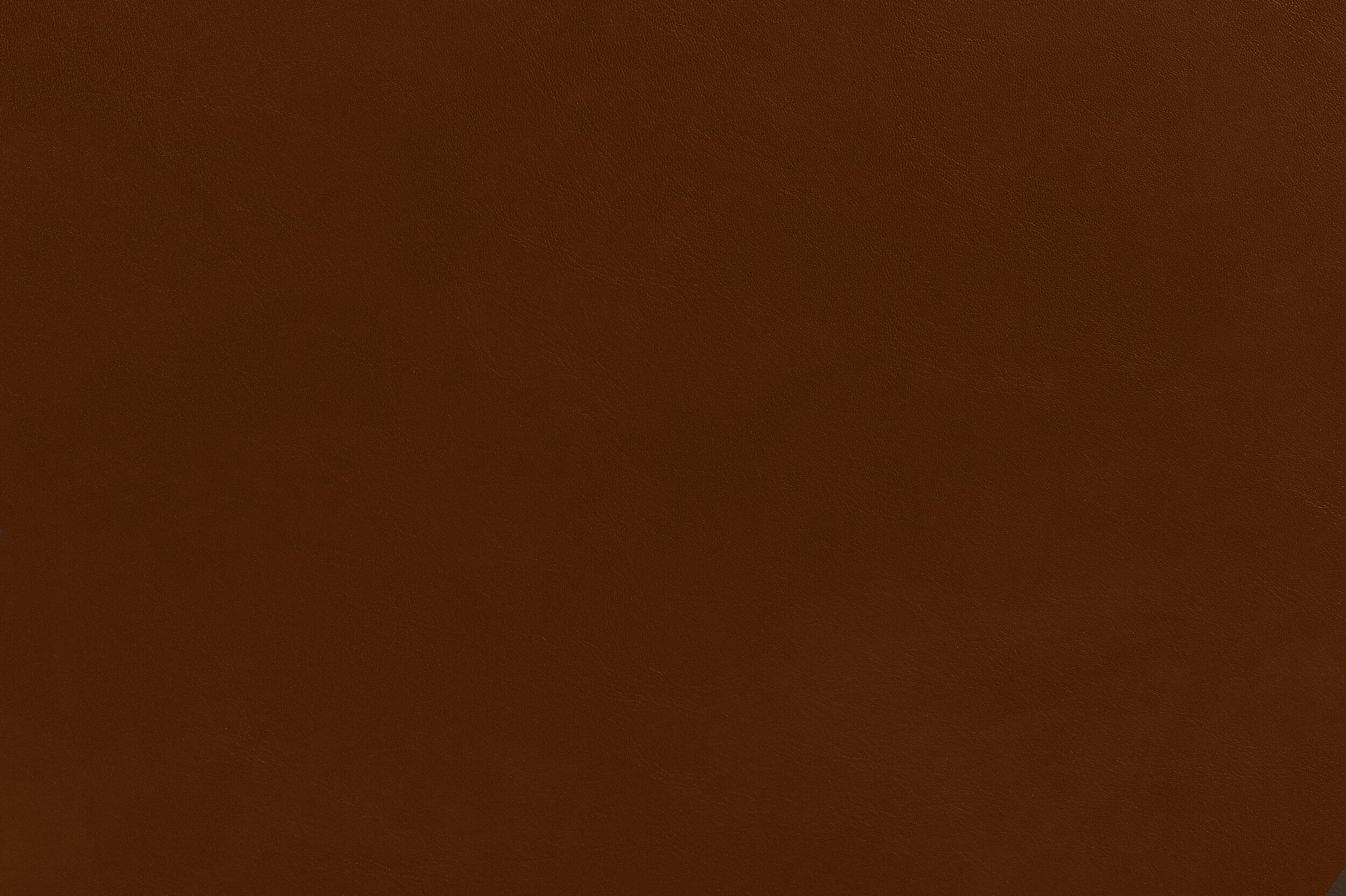 BANG - Action Tan | BAN-02