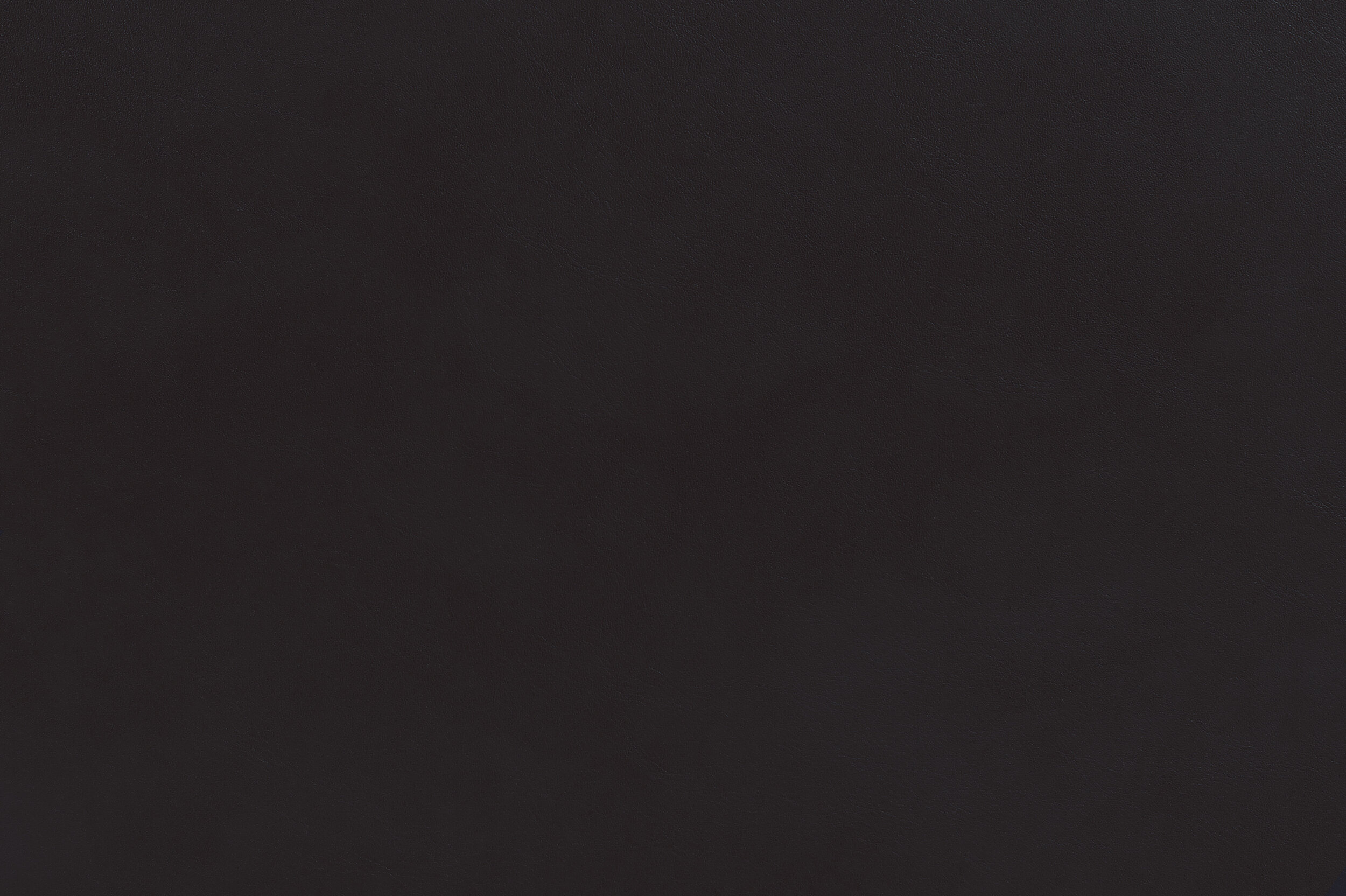 BANG - Upside Brown | BAN-04