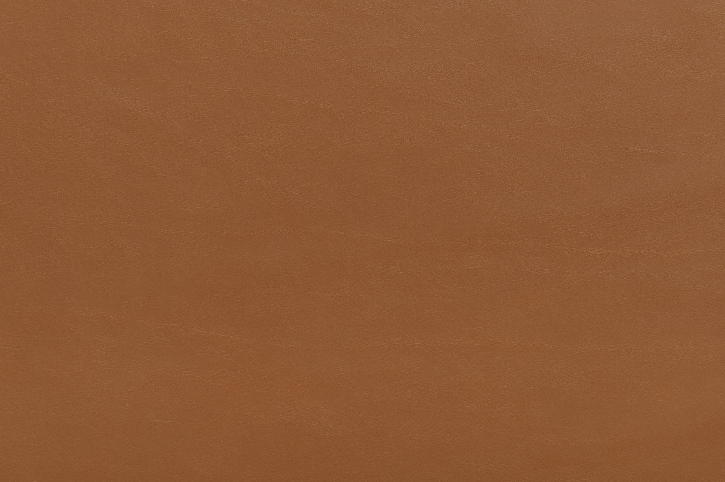 BOOSH - Cup of Tea | BOO-05