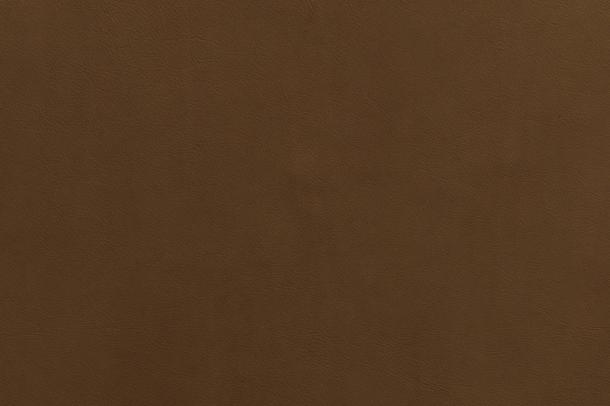 WHAM - That's Coconuts | WHA-03