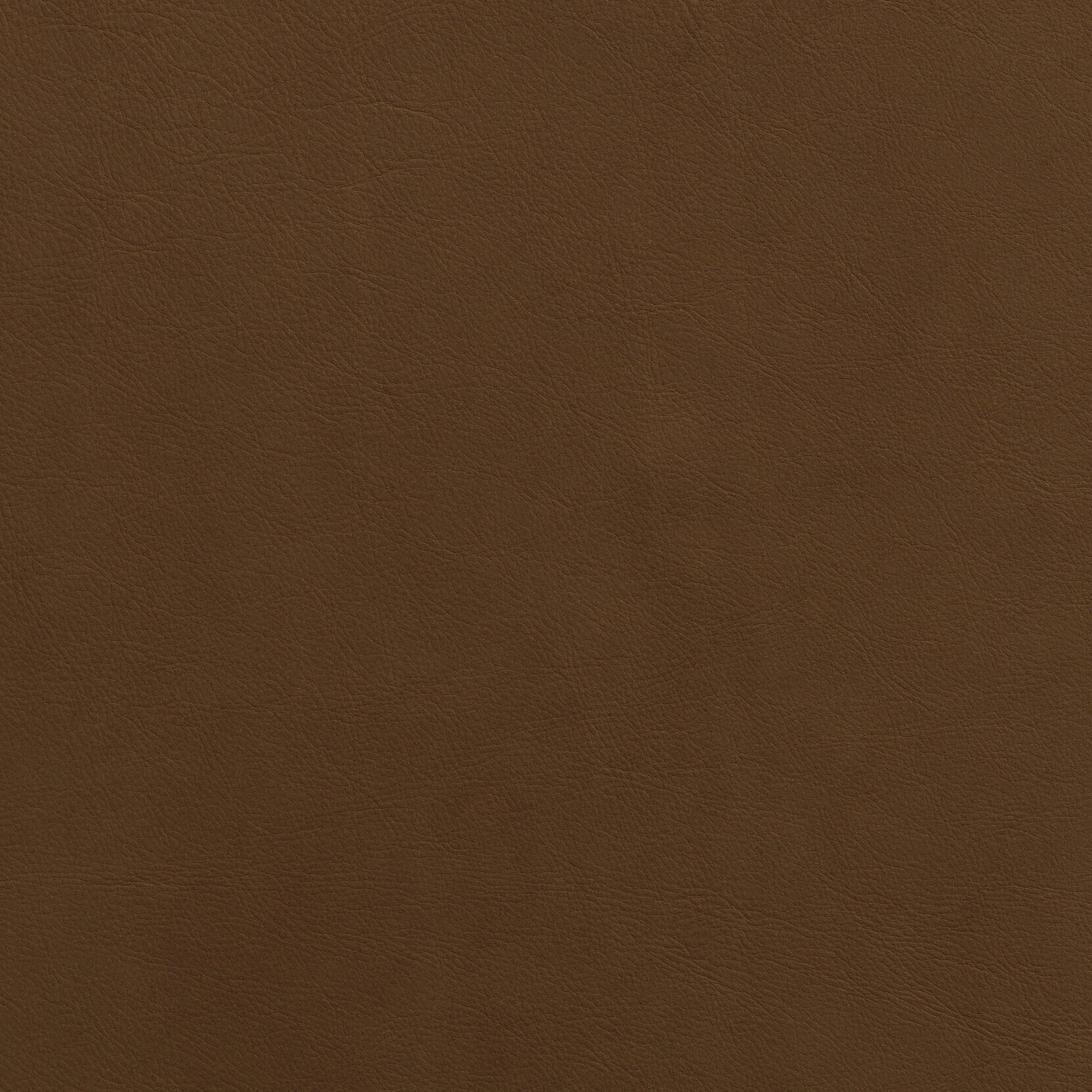 Zisu+Samples_September+2020-5639_6.3_v2.jpg