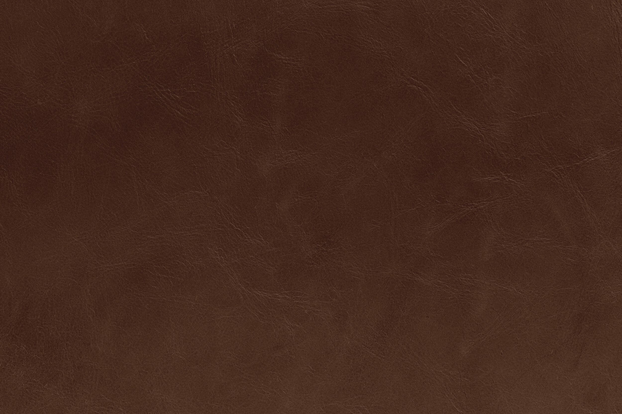 POP - Wake Me Up Before You Cocoa | POP-11