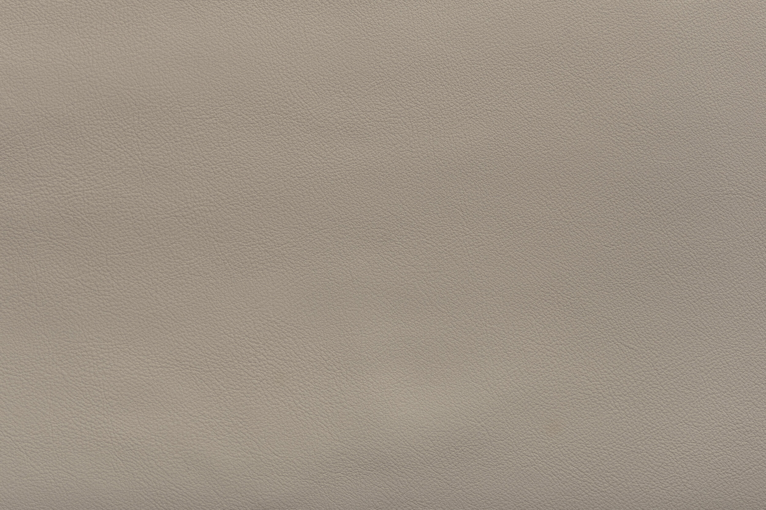 SNAP - Mist Opportunity | SNA-34