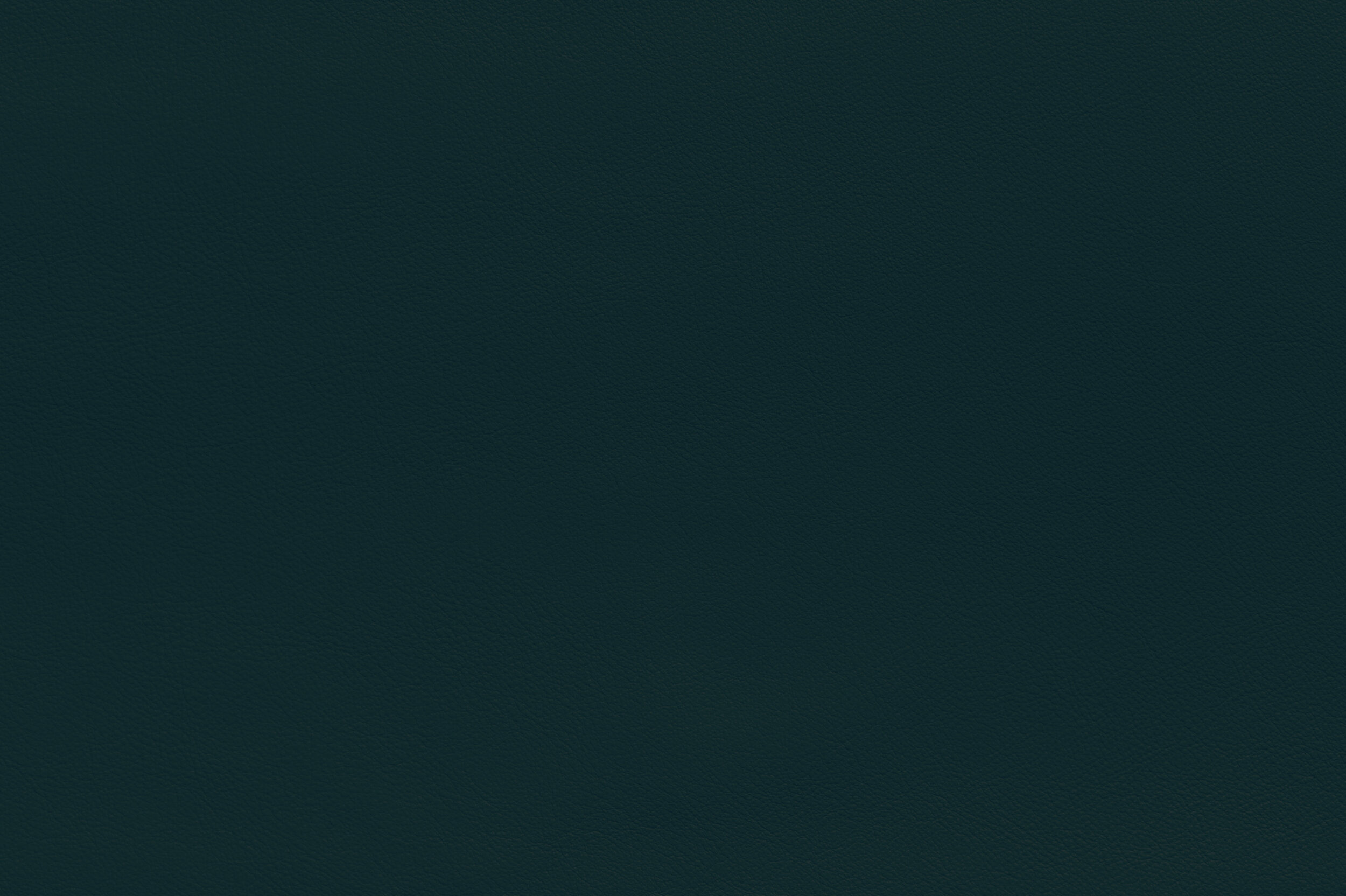 SNAP - Heads or Teals | SNA-26