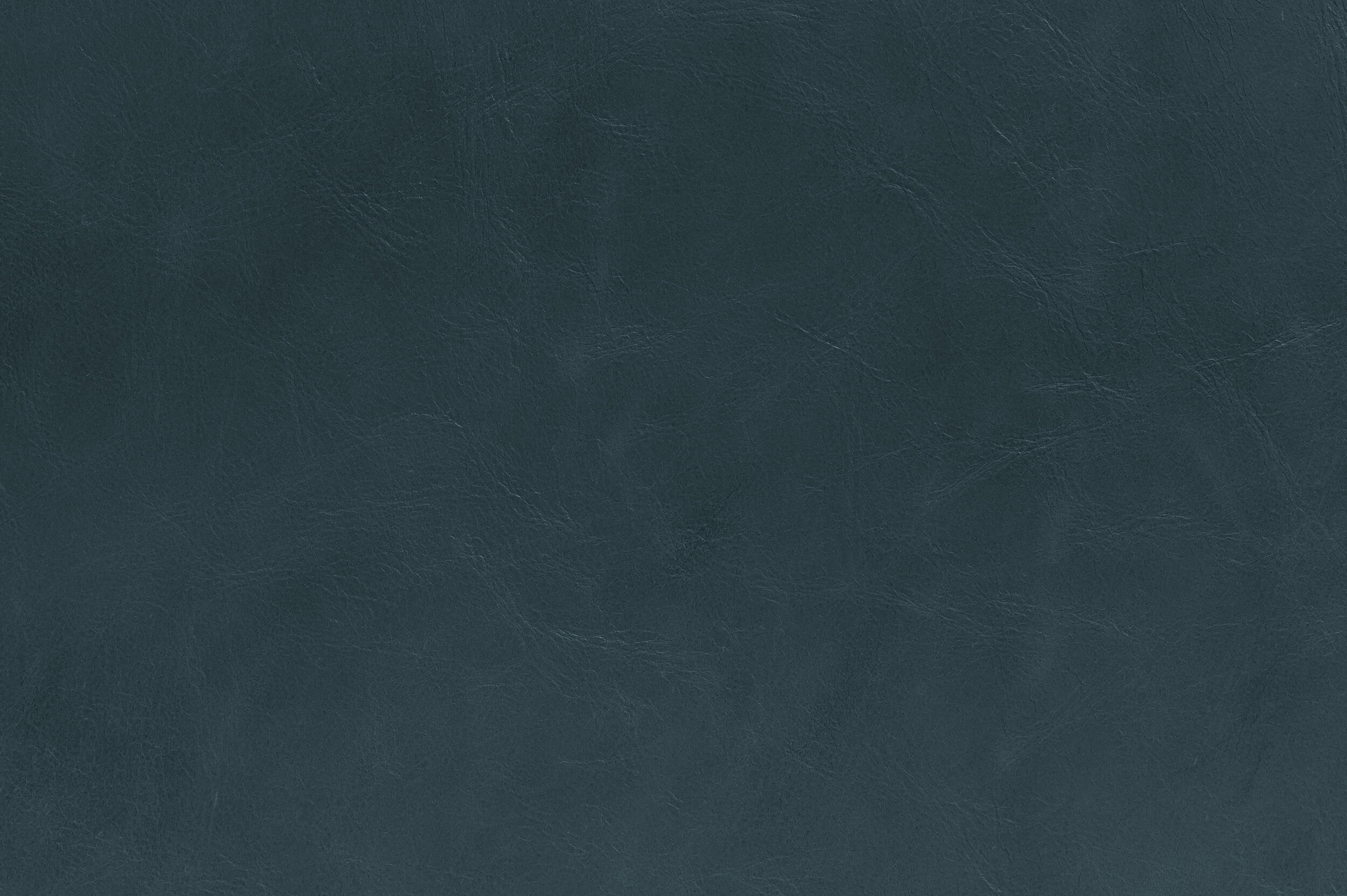 POP - Ink or Swim | POP-05