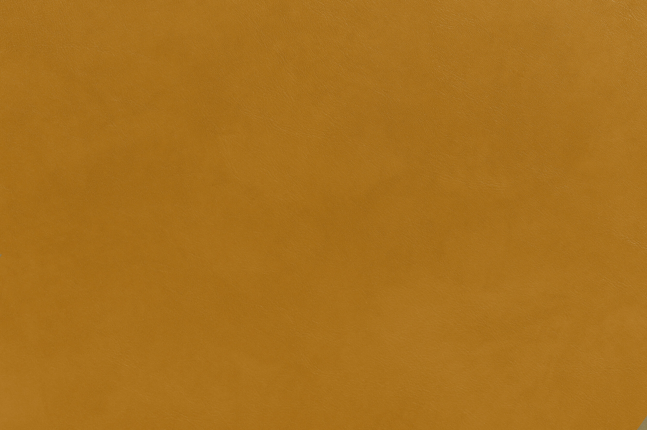 BANG - Brioche Bun | BAN-01