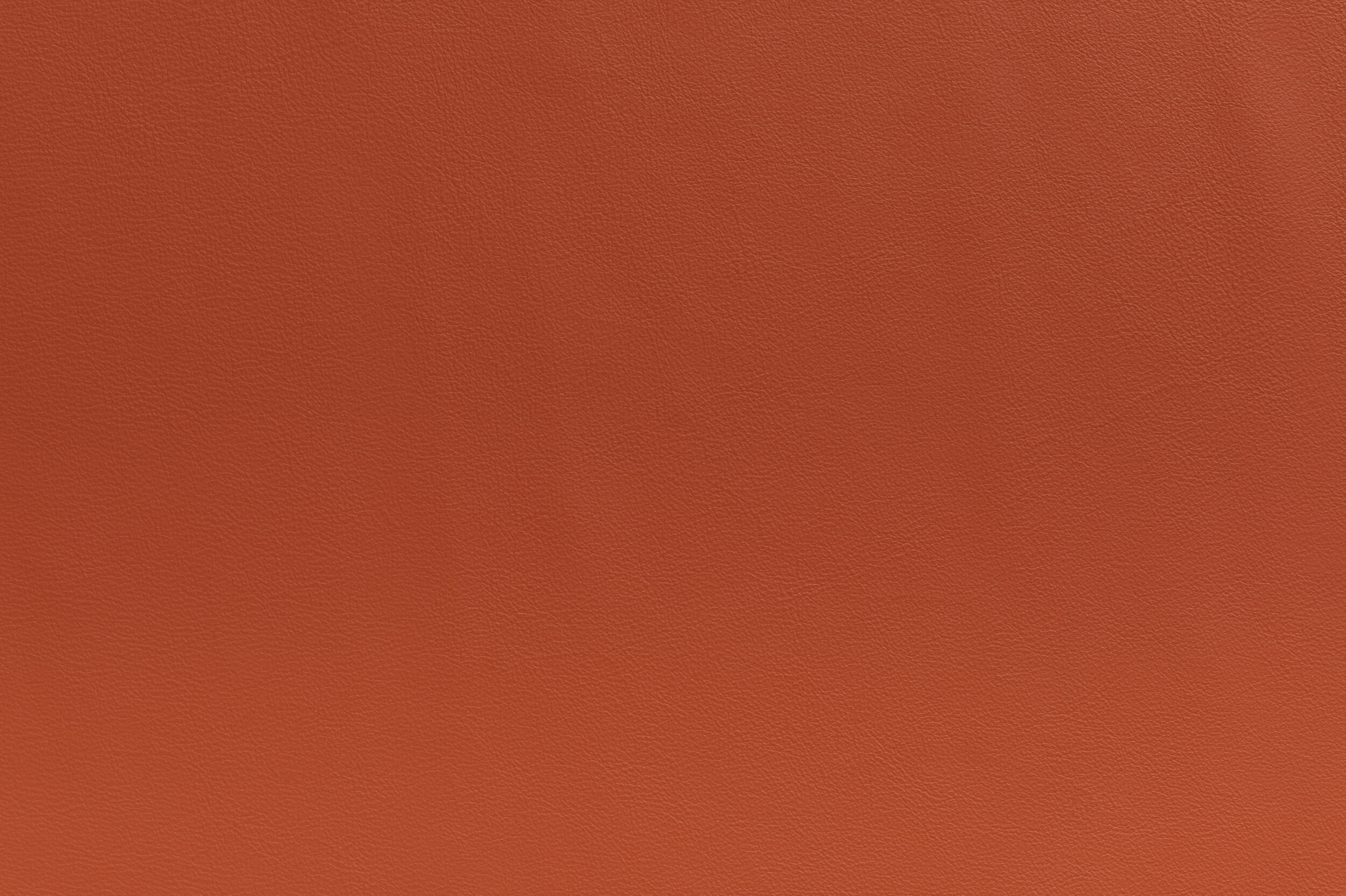 SNAP - Spice and Easy Does It | SNA-17