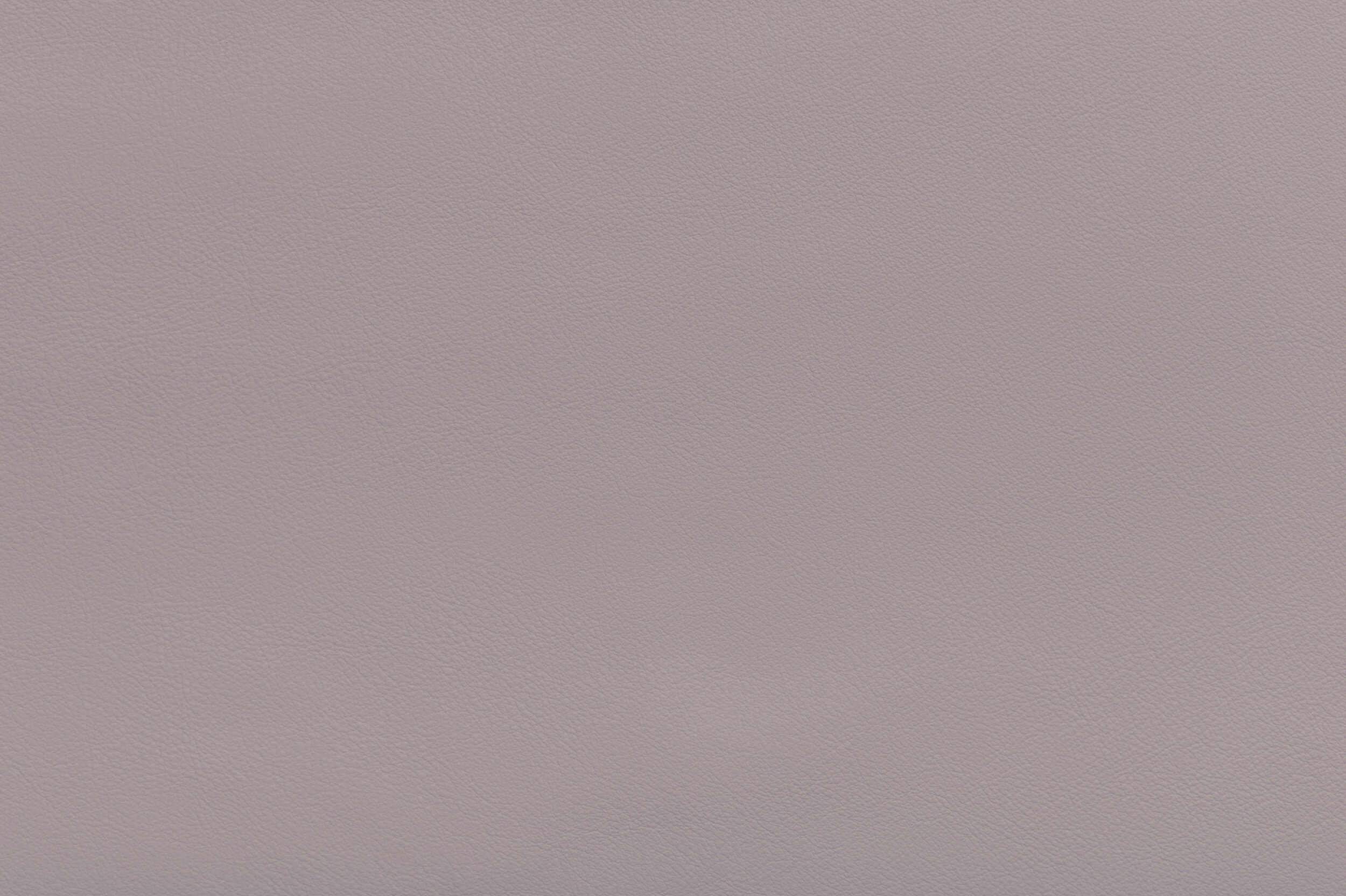 SNAP - Lavender Me Up | SNA-10