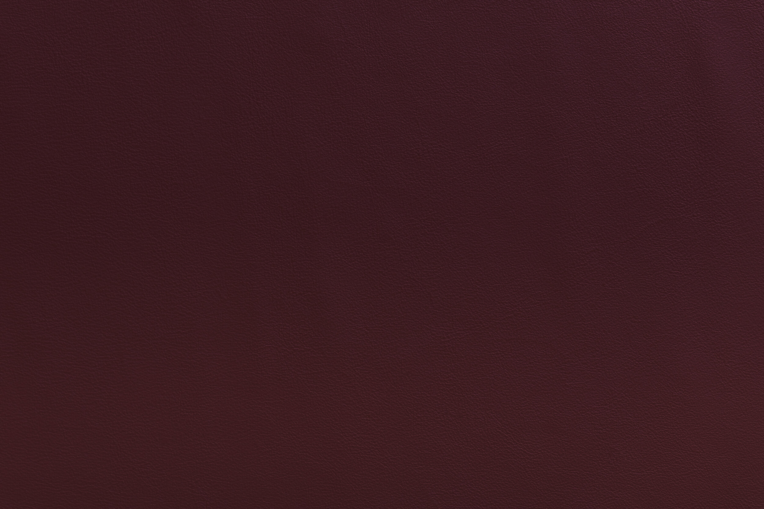 SNAP - You Had Me At Merlot | SNA-19