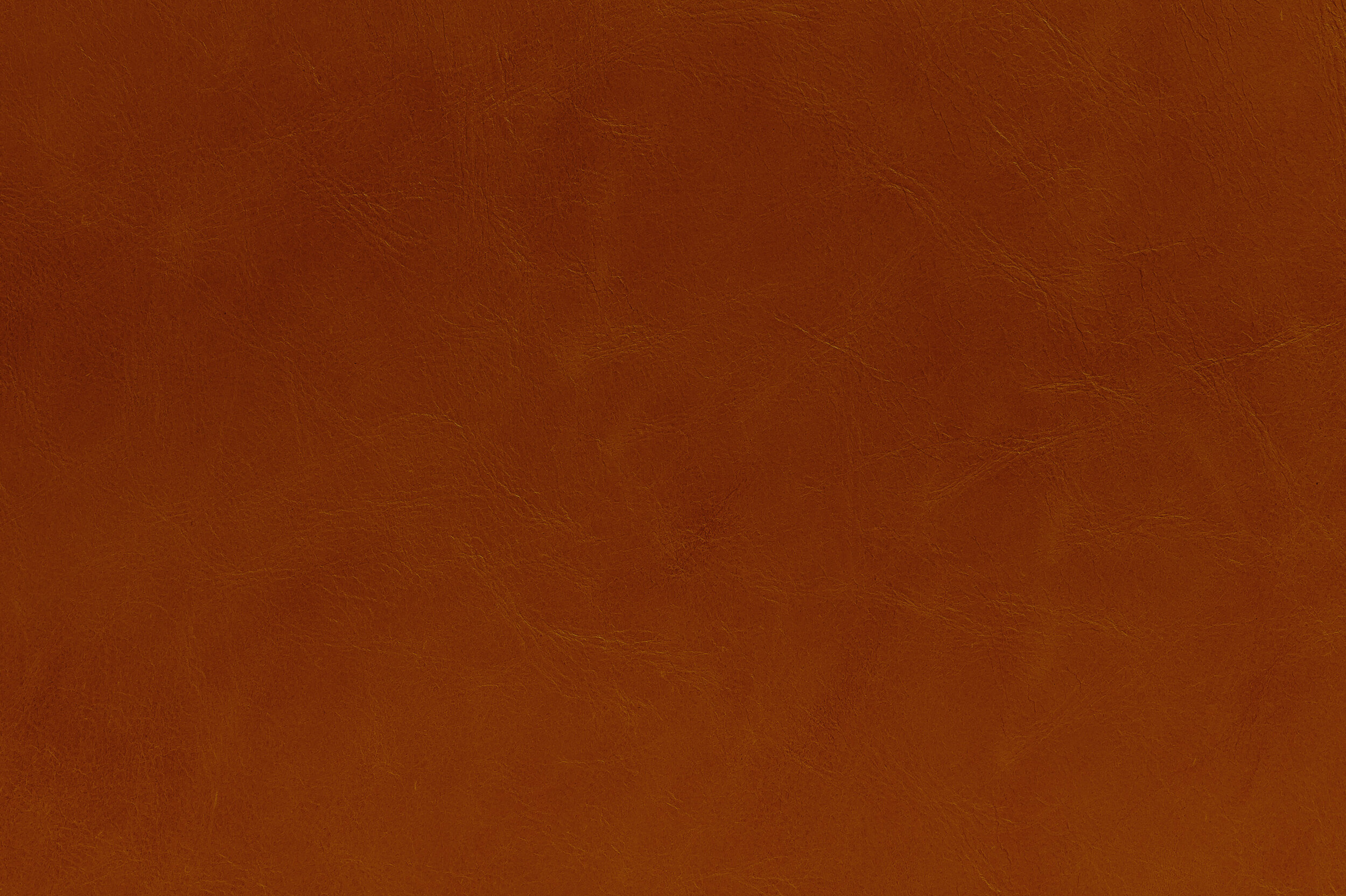 POP - That'll do Spicely | POP-10