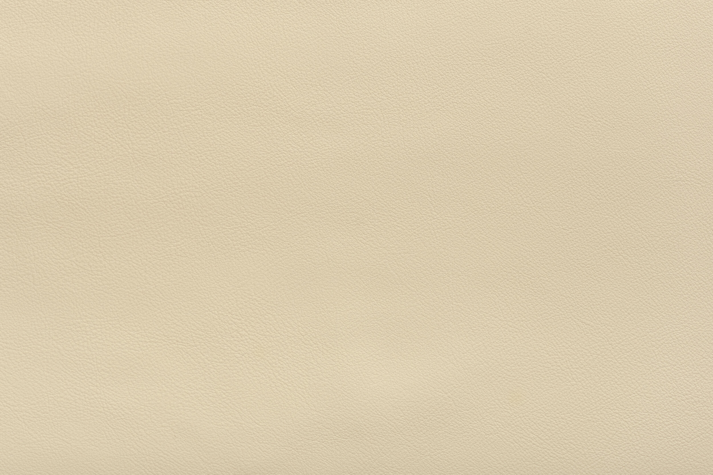 SNAP - Knock Your Chalks Off | SNA-05